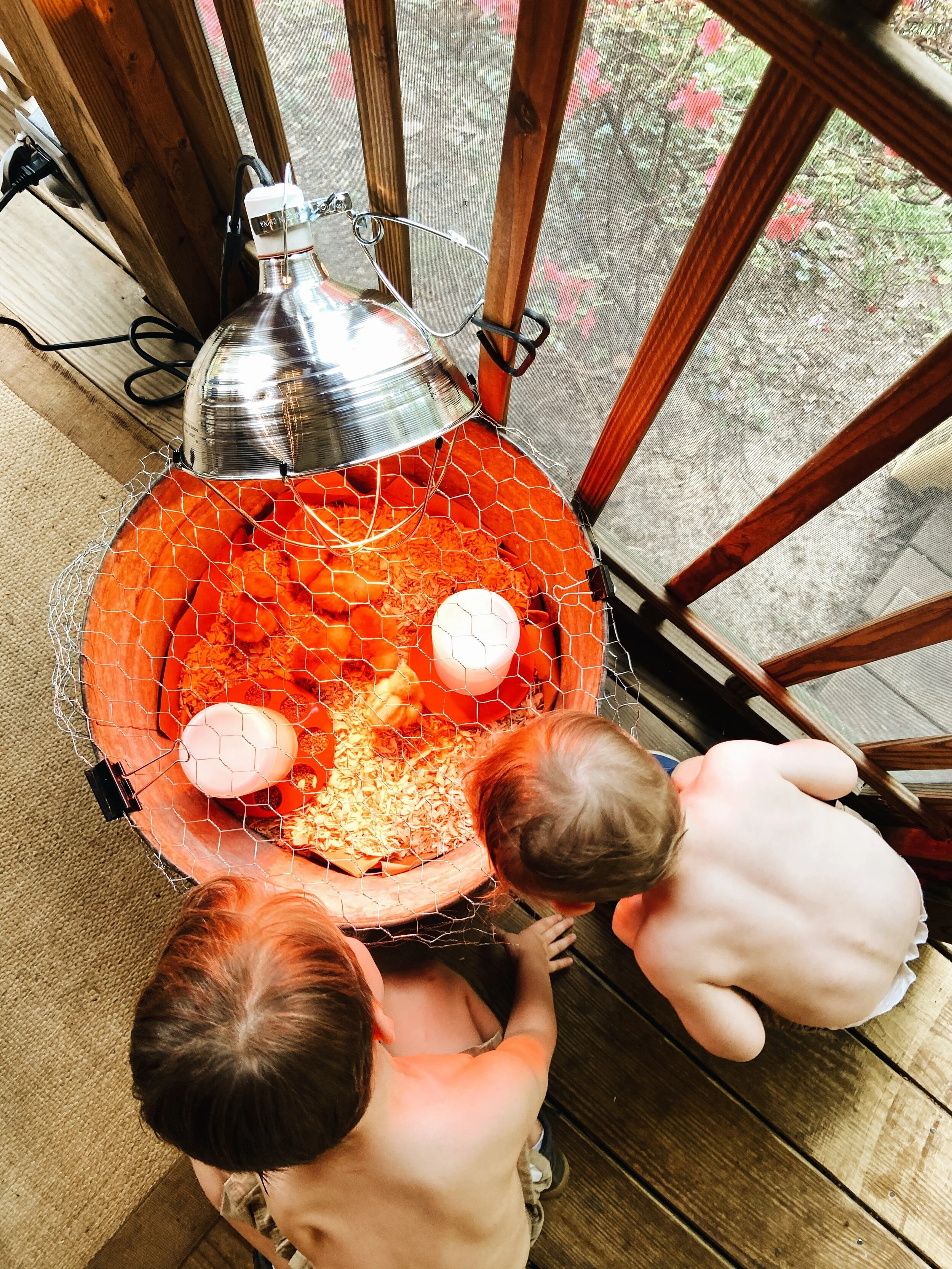 AN EASTER AT HOME  (Via JacinthaPayne.com)