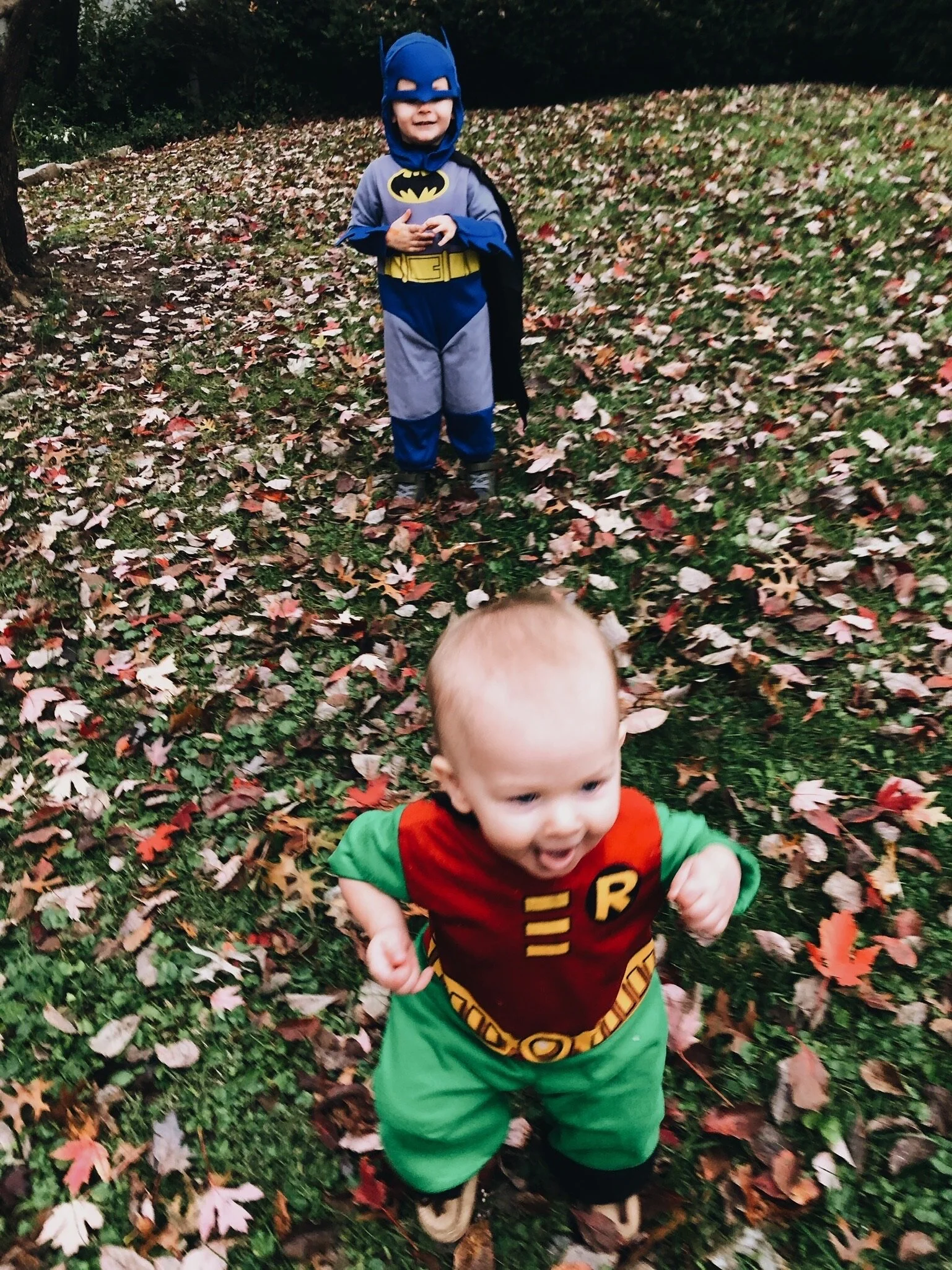 HOLY HALLOWEEN, BATMAN! - 2019 (Via JacinthaPayne.com)
