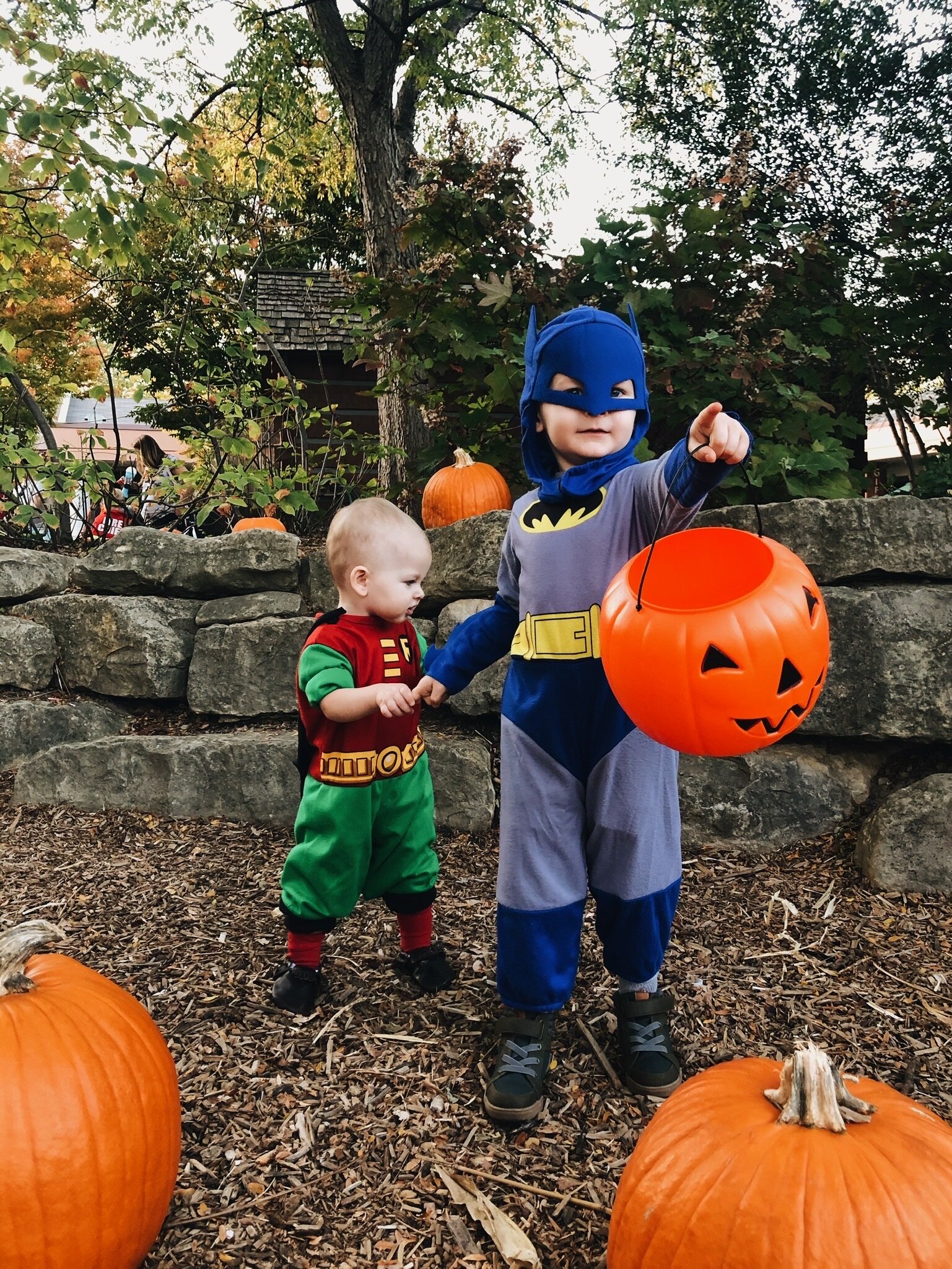 HOLY HALLOWEEN, BATMAN! - 2019 (Via JacinthaPayne.com)