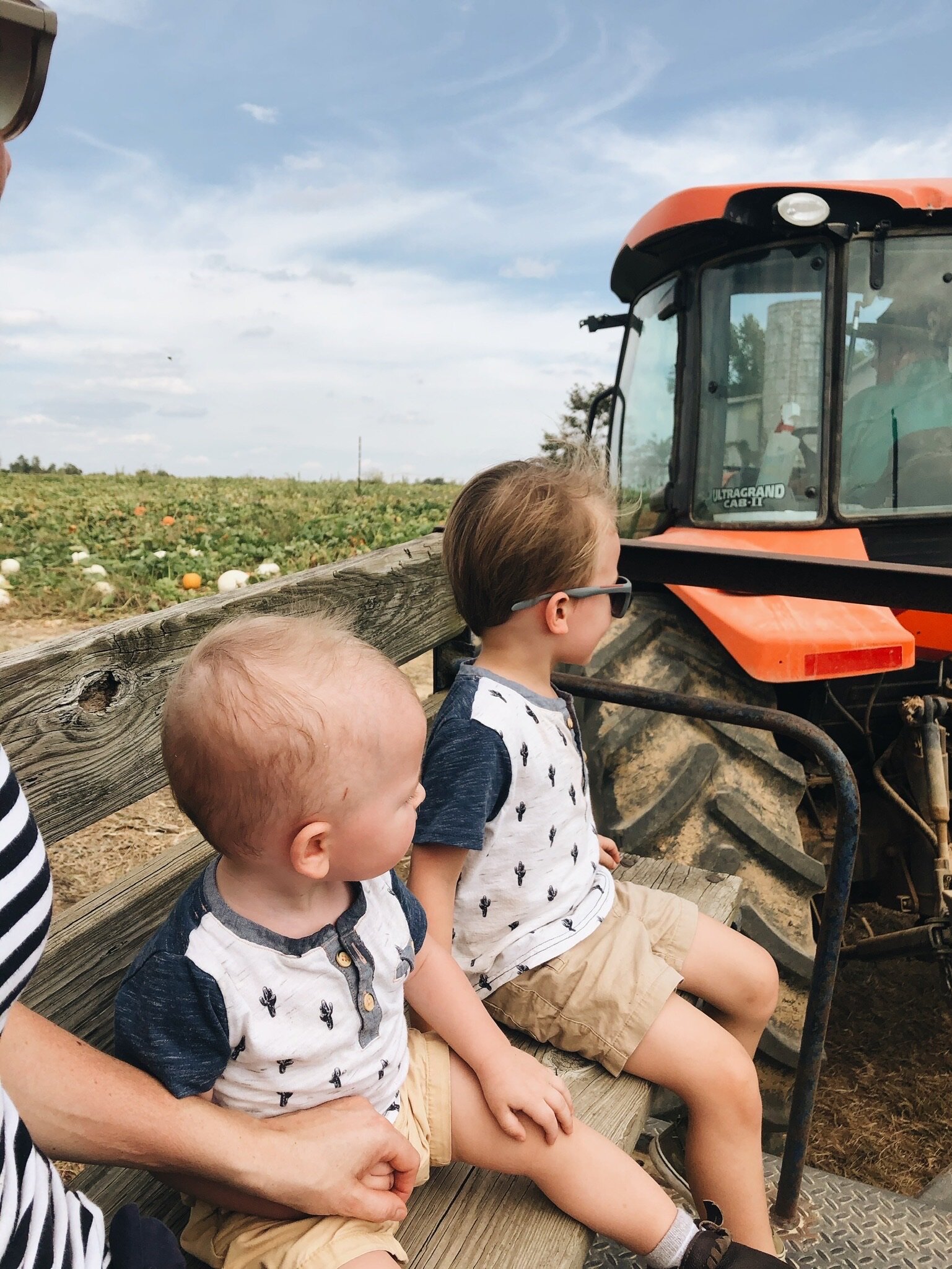 HOLY HALLOWEEN, BATMAN! - 2019 (Via JacinthaPayne.com)