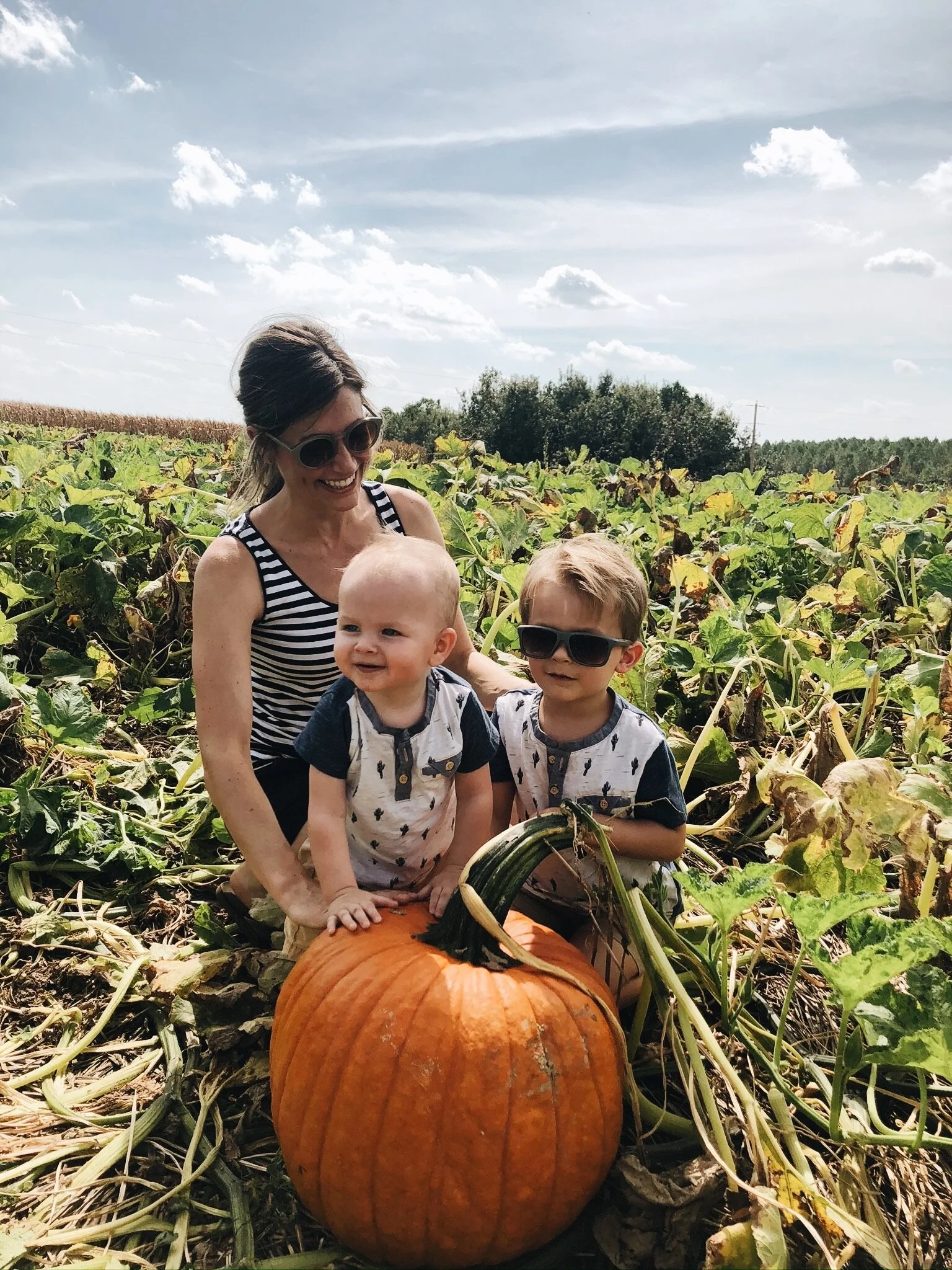 HOLY HALLOWEEN, BATMAN! - 2019 (Via JacinthaPayne.com)