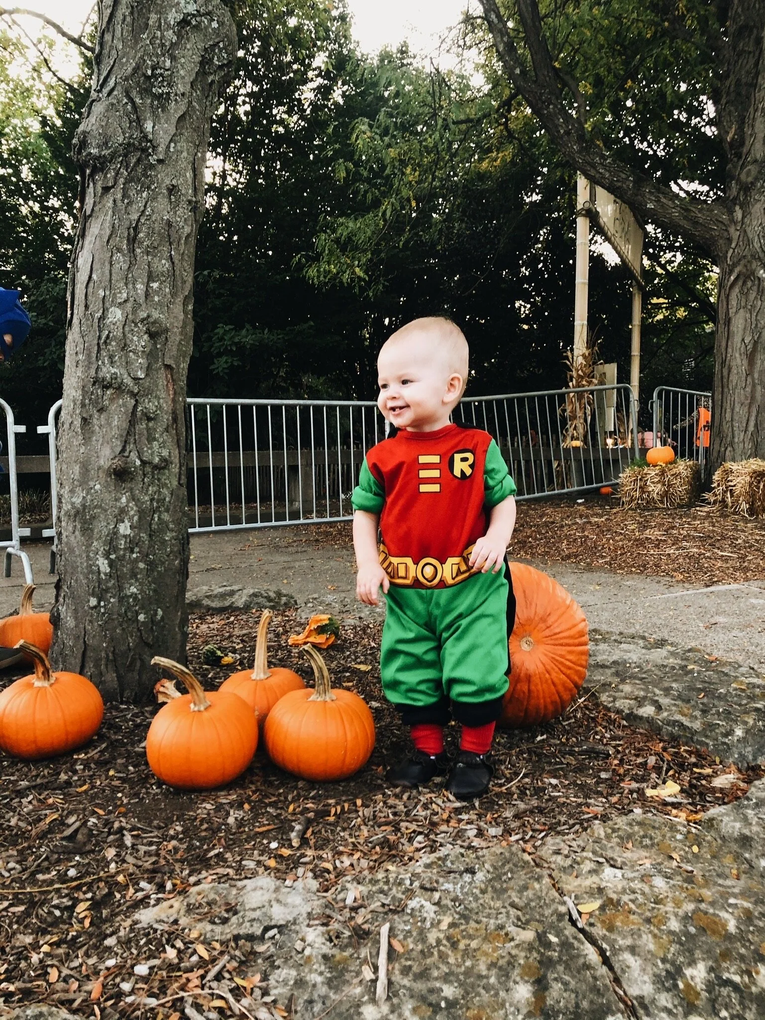 HOLY HALLOWEEN, BATMAN! - 2019 (Via JacinthaPayne.com)