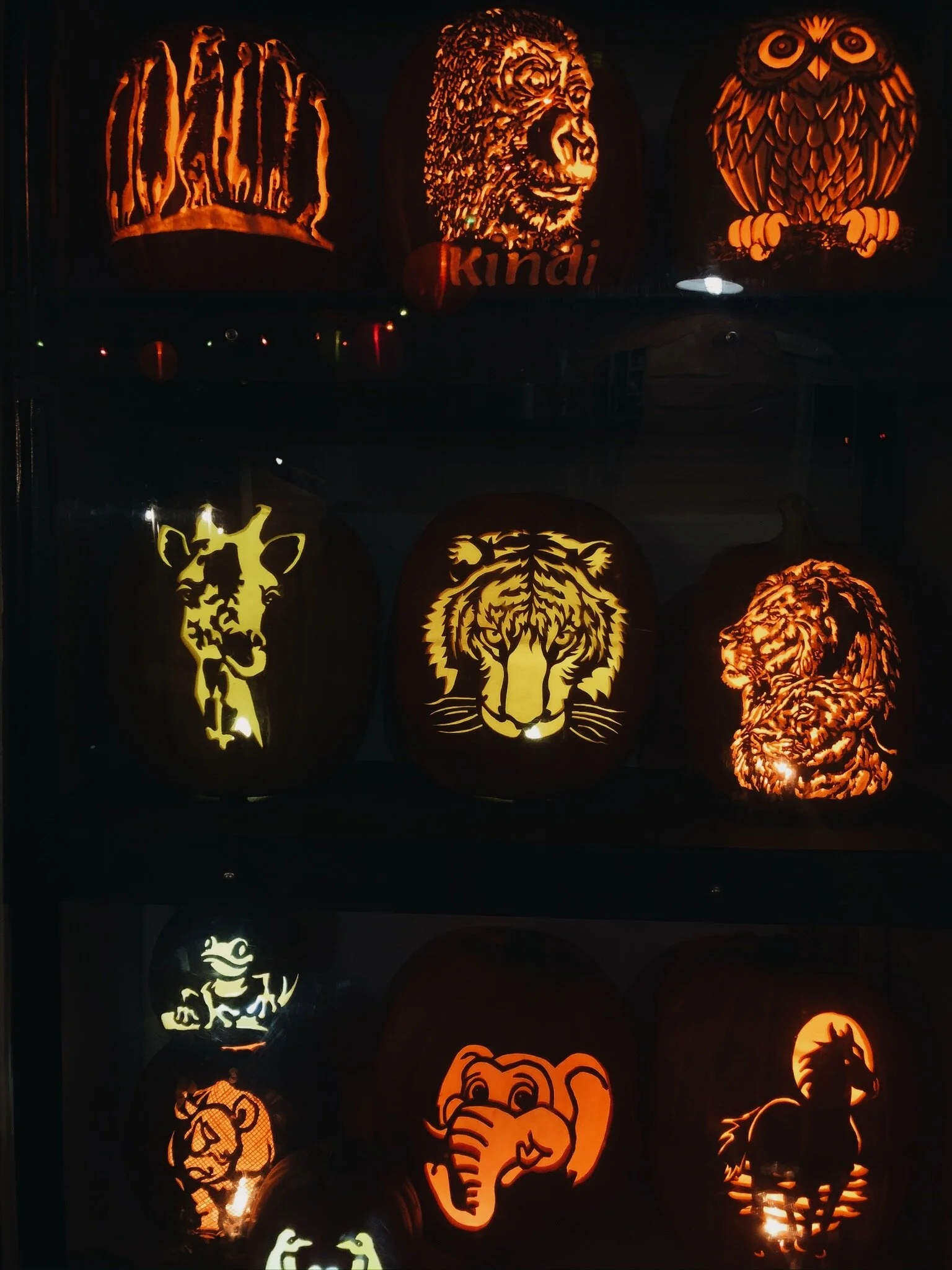 HOLY HALLOWEEN, BATMAN! - 2019 (Via JacinthaPayne.com)