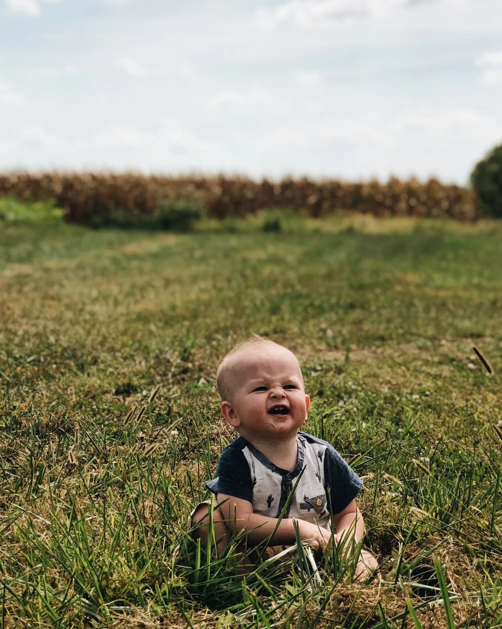 HOLY HALLOWEEN, BATMAN! - 2019 (Via JacinthaPayne.com)