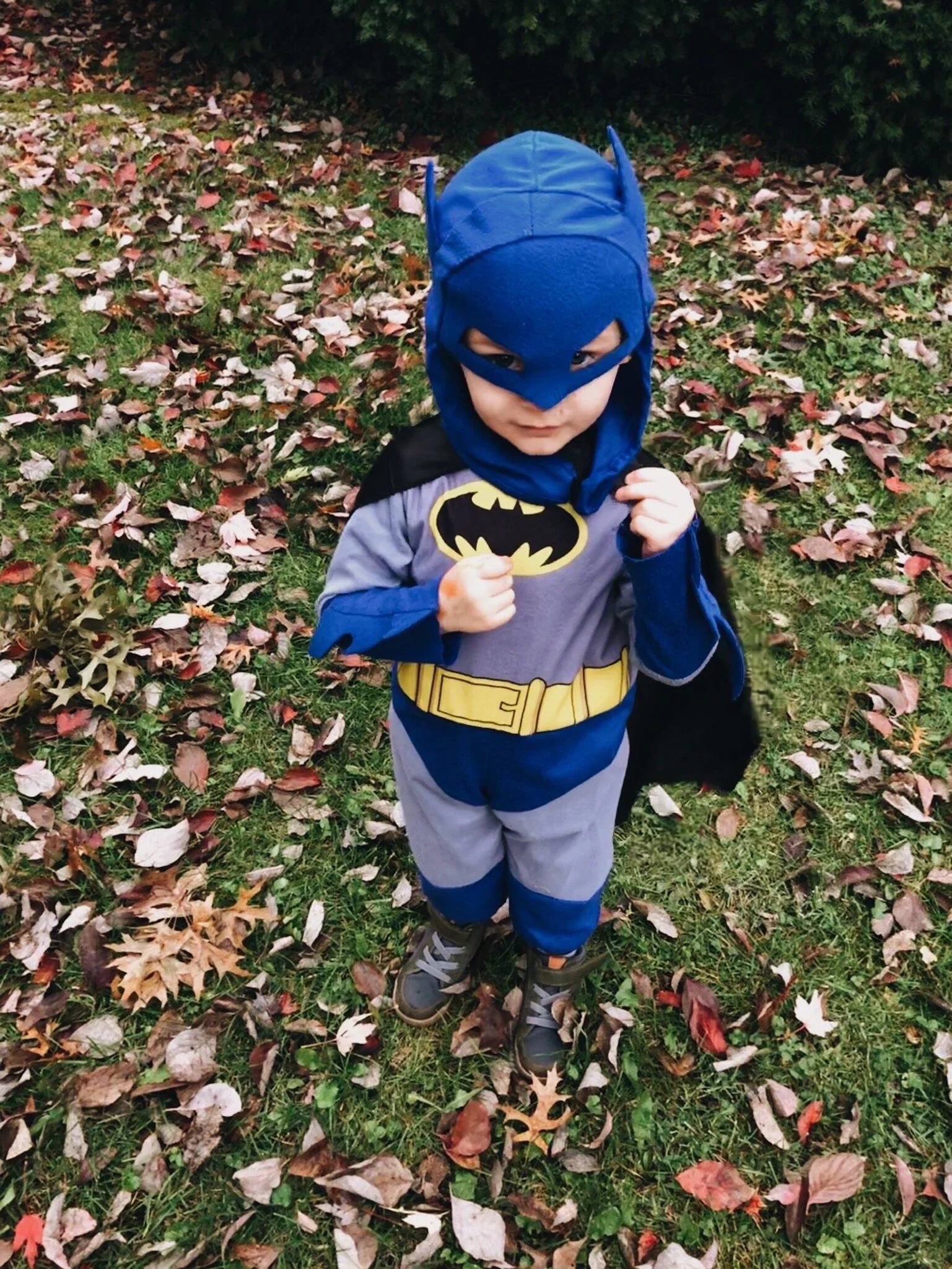 HOLY HALLOWEEN, BATMAN! - 2019 (Via JacinthaPayne.com)