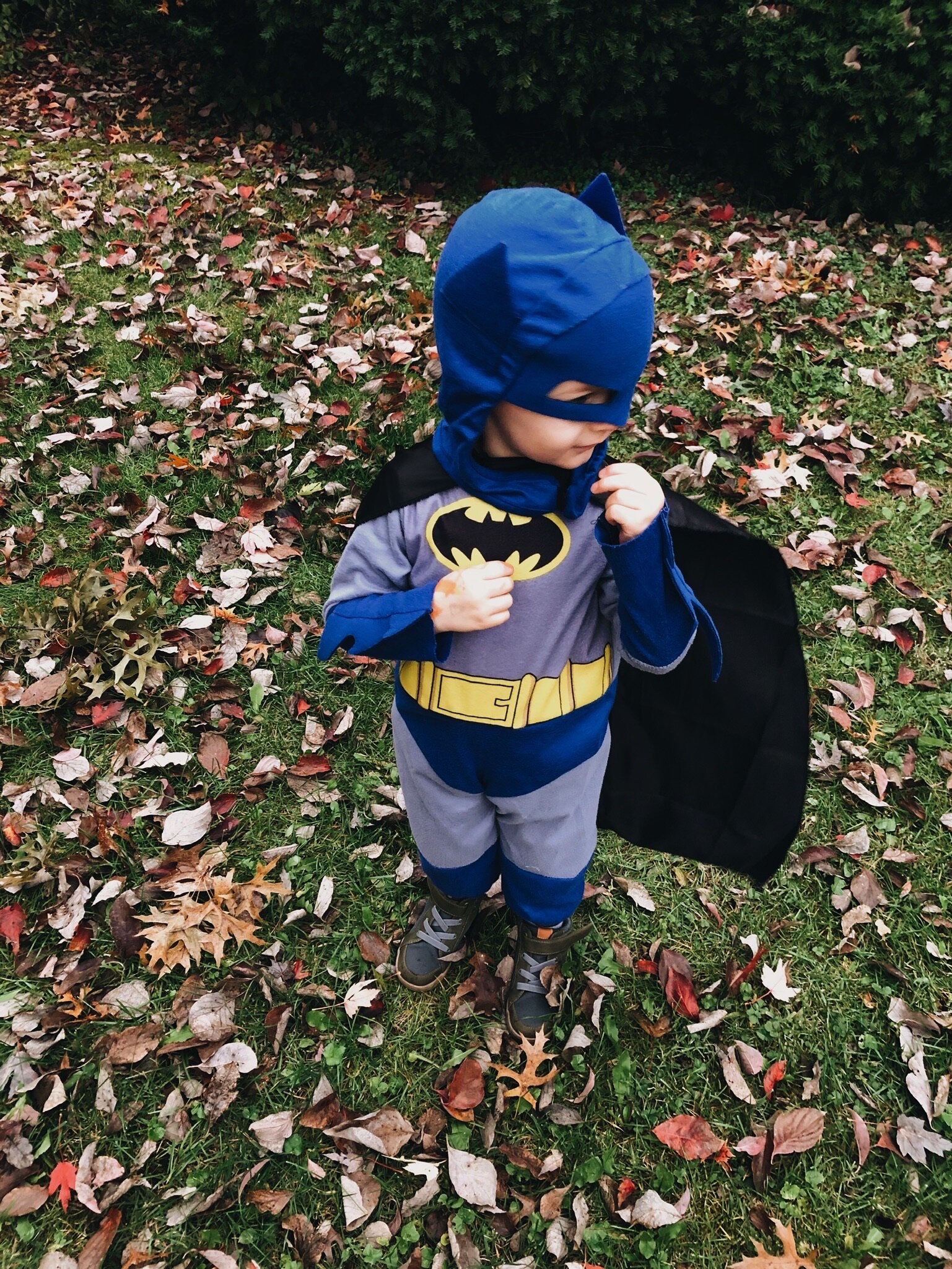 HOLY HALLOWEEN, BATMAN! - 2019 (Via JacinthaPayne.com)