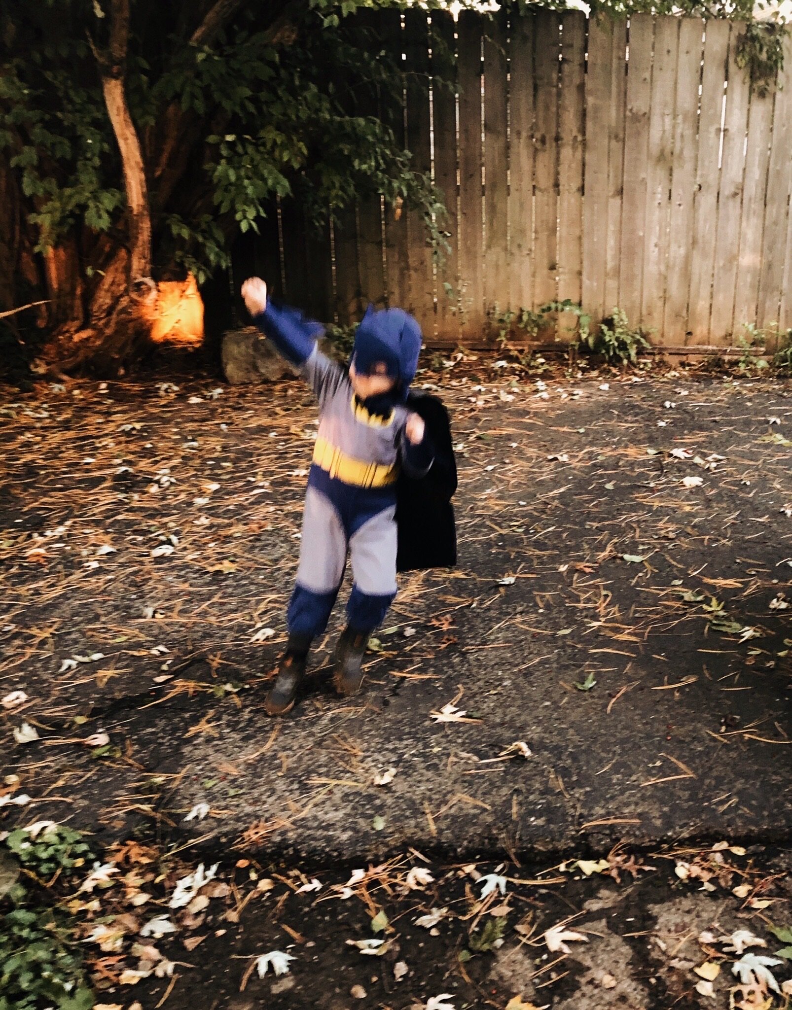 HOLY HALLOWEEN, BATMAN! - 2019 (Via JacinthaPayne.com)HOLY HALLOWEEN, BATMAN! - 2019 (Via JacinthaPayne.com)