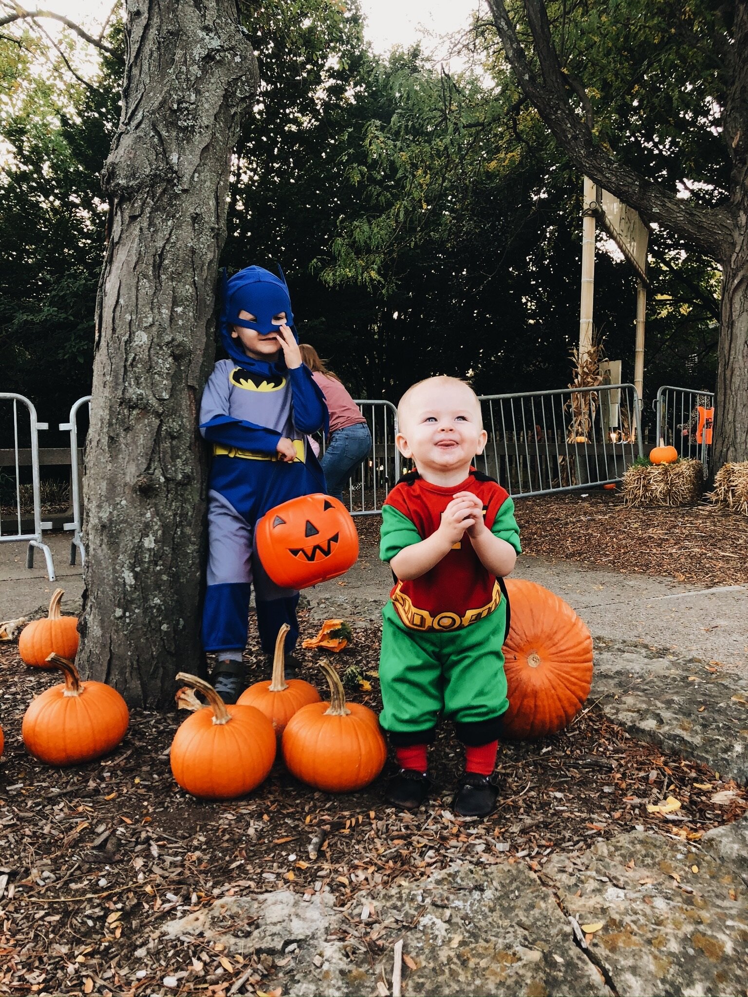 HOLY HALLOWEEN, BATMAN! - 2019 (Via JacinthaPayne.com)