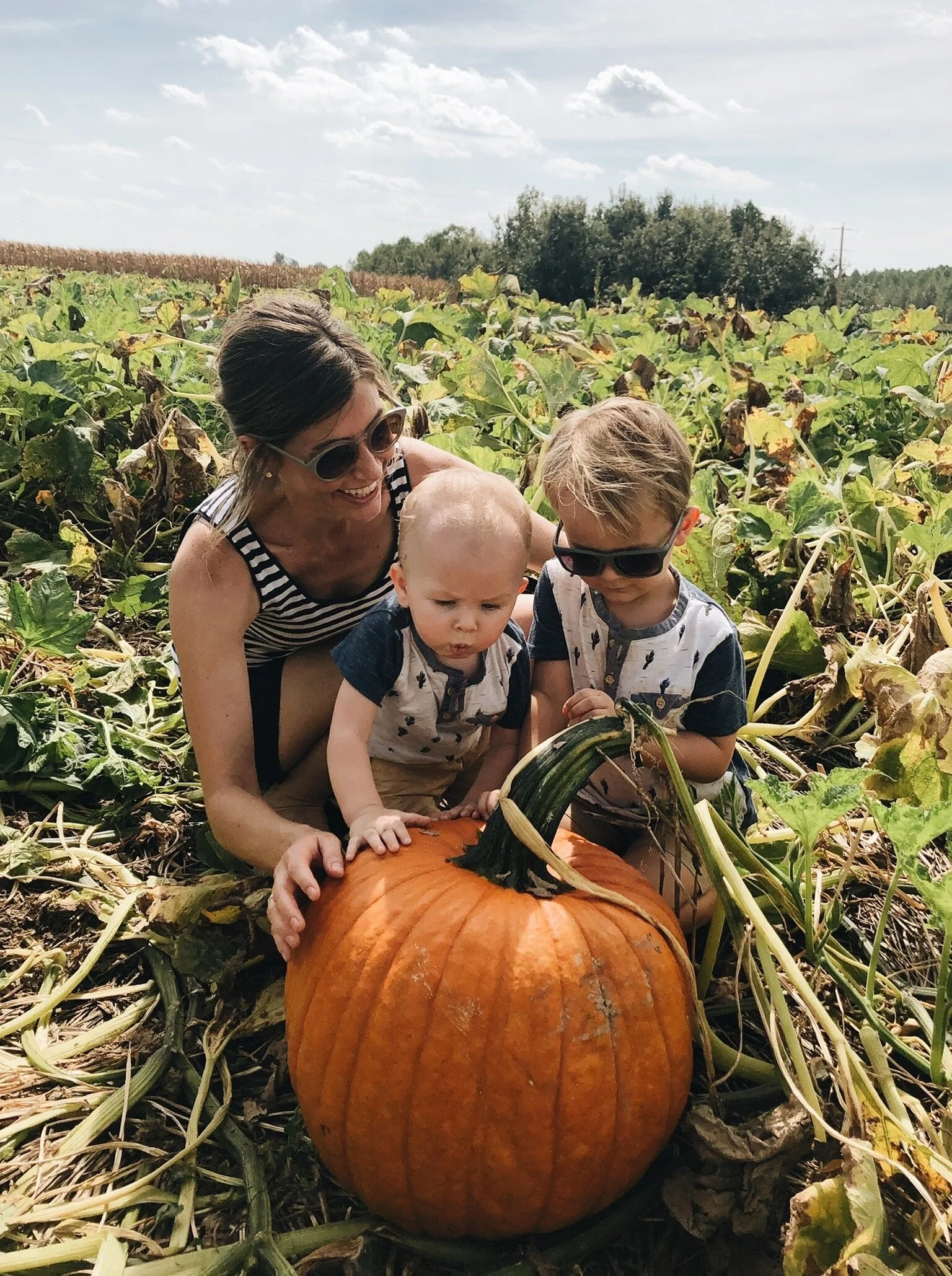 HOLY HALLOWEEN, BATMAN! - 2019