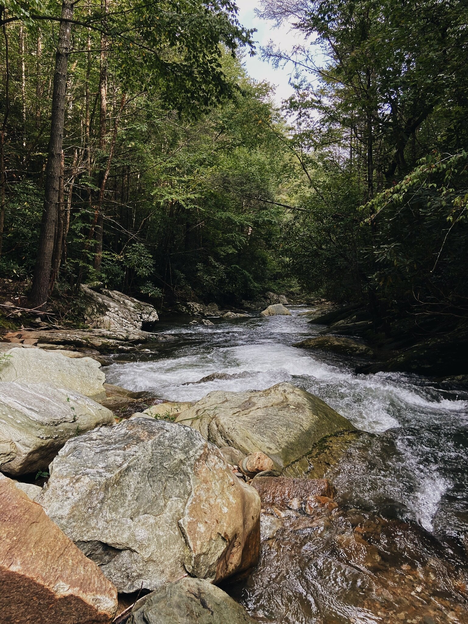 DISPLACED YET HOPEFUL