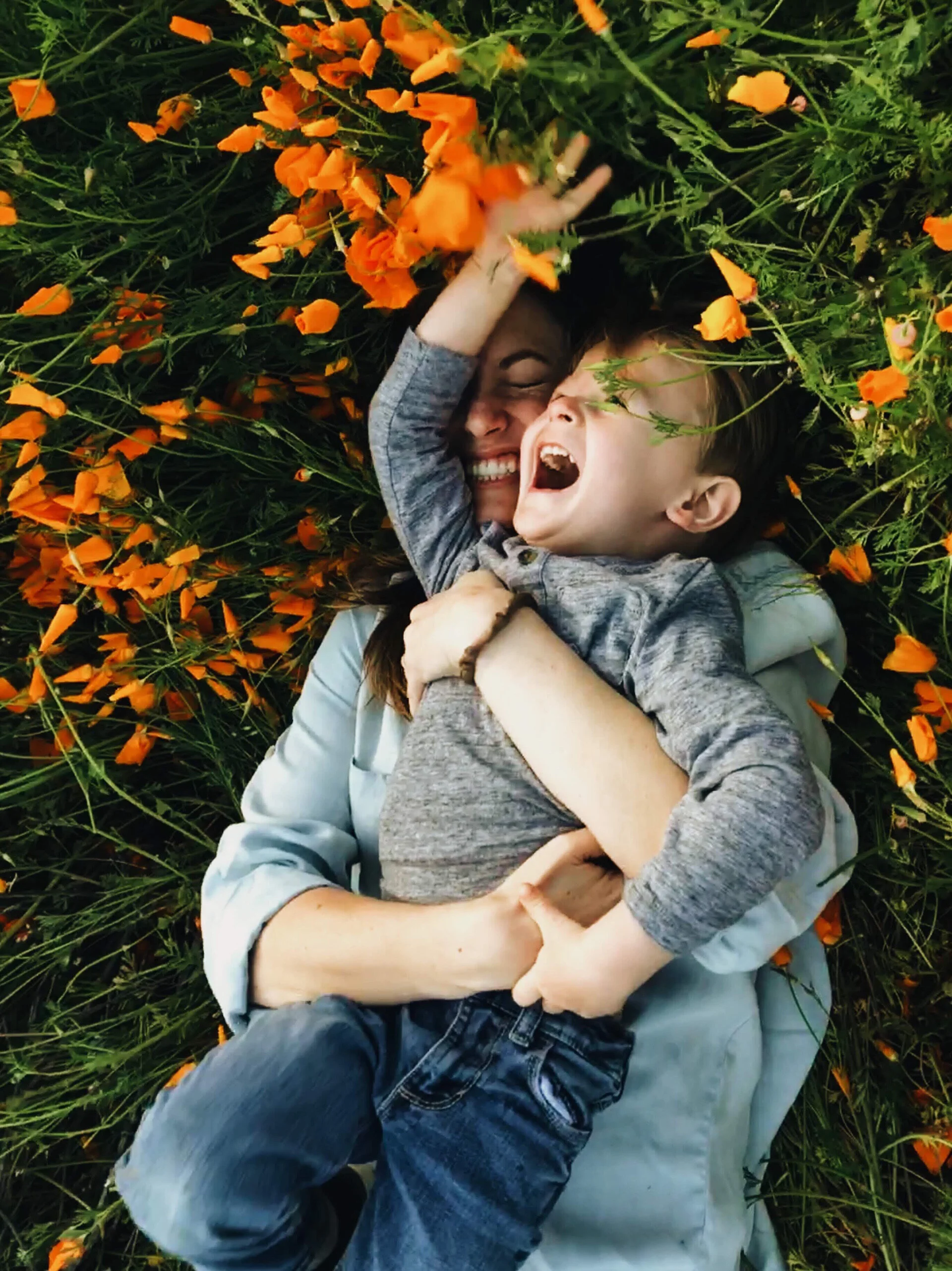 THE LIFE-CHANGING NATURE OF GRATITUDE 