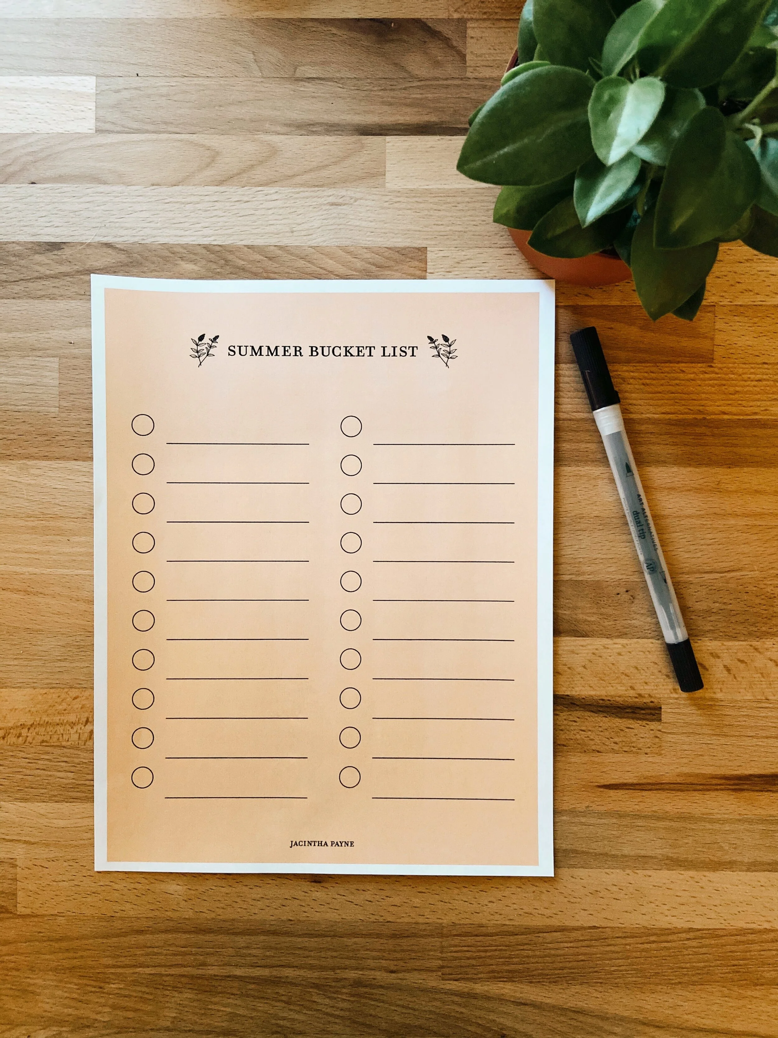 THE SUMMER BUCKET LIST