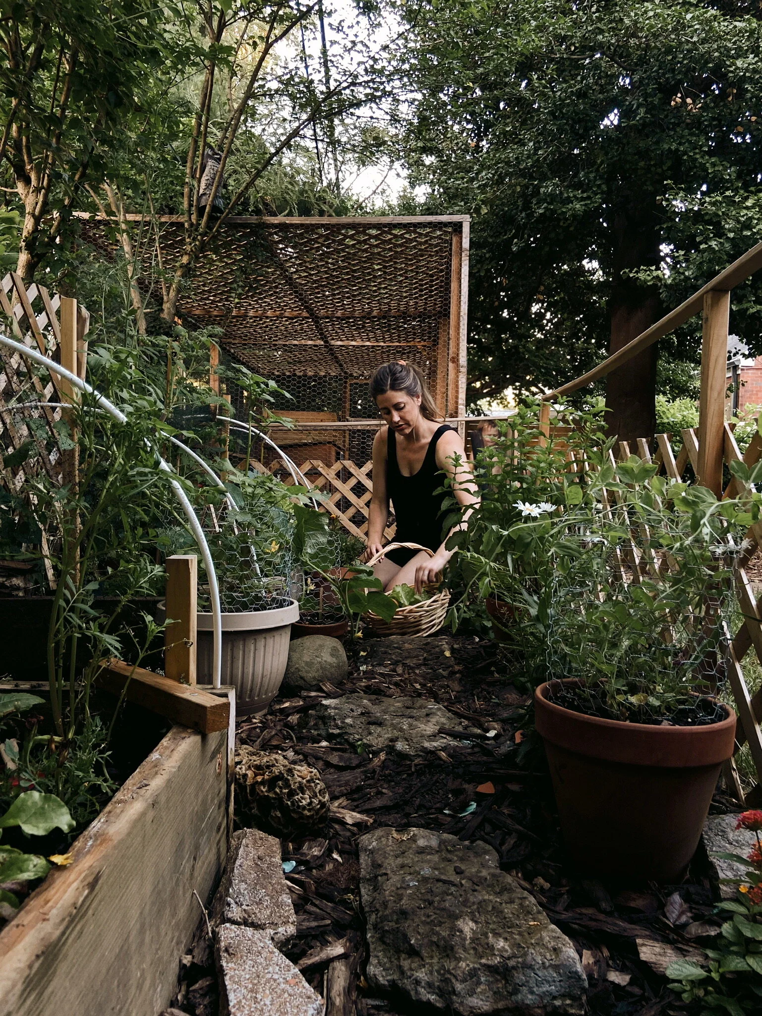 THE BEGINNER’S GARDEN