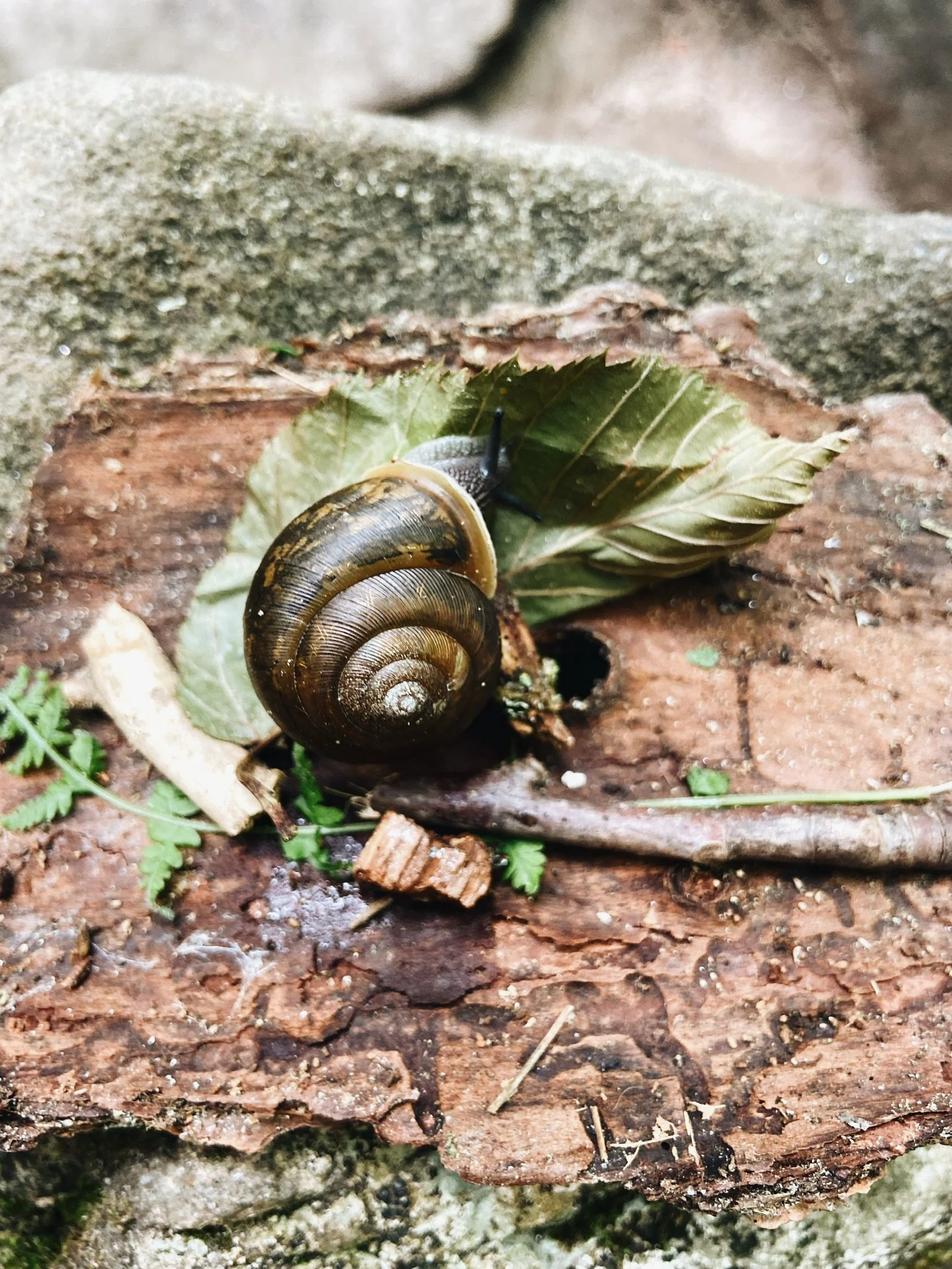 FAMILY VACATION (Via JacinthaPayne.com)10.JPG