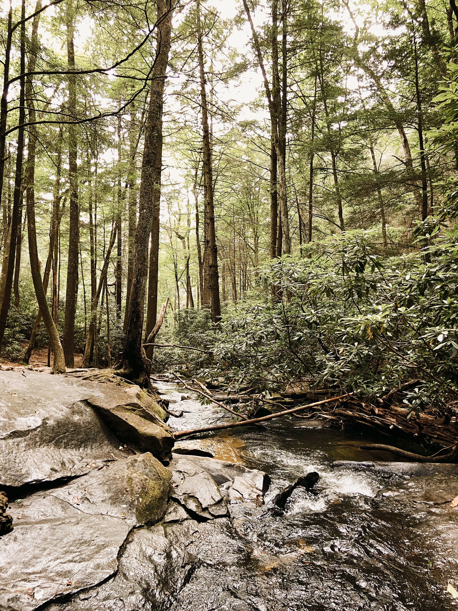 FAMILY VACATION (Via JacinthaPayne.com)18.JPG