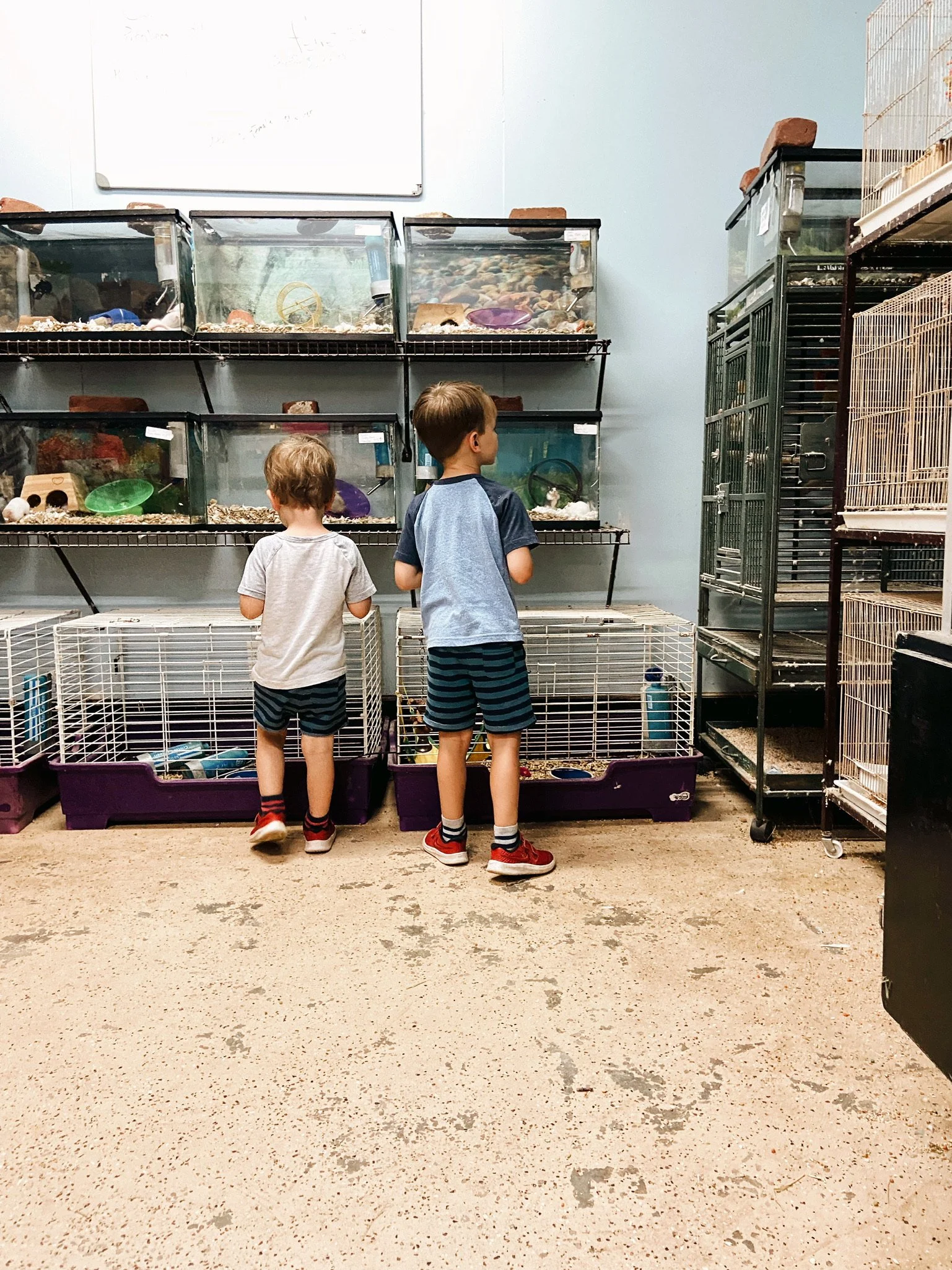 FAMILY VACATION (Via JacinthaPayne.com)36.JPG