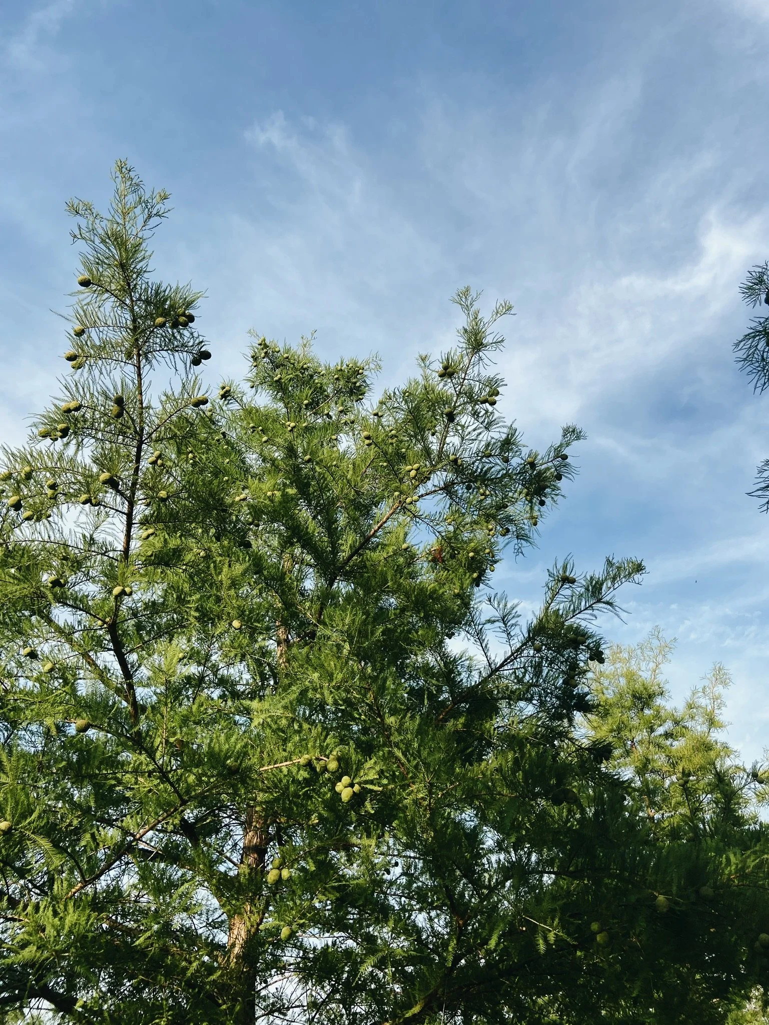 FAMILY VACATION (Via JacinthaPayne.com)48.JPG