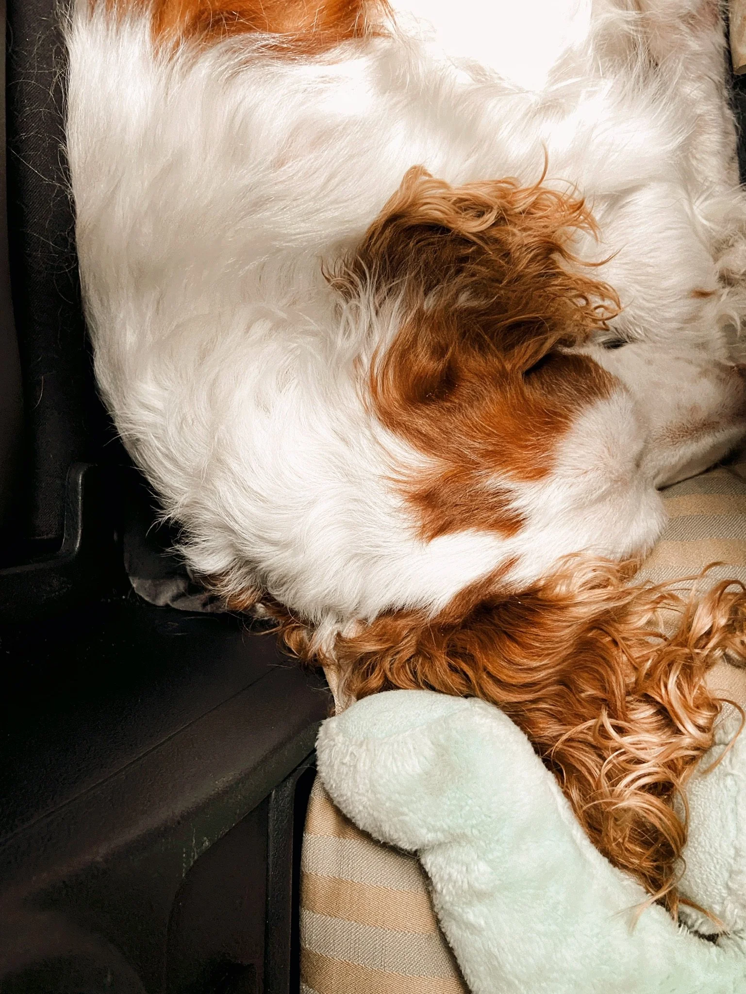 FAMILY VACATION (Via JacinthaPayne.com)59.JPG