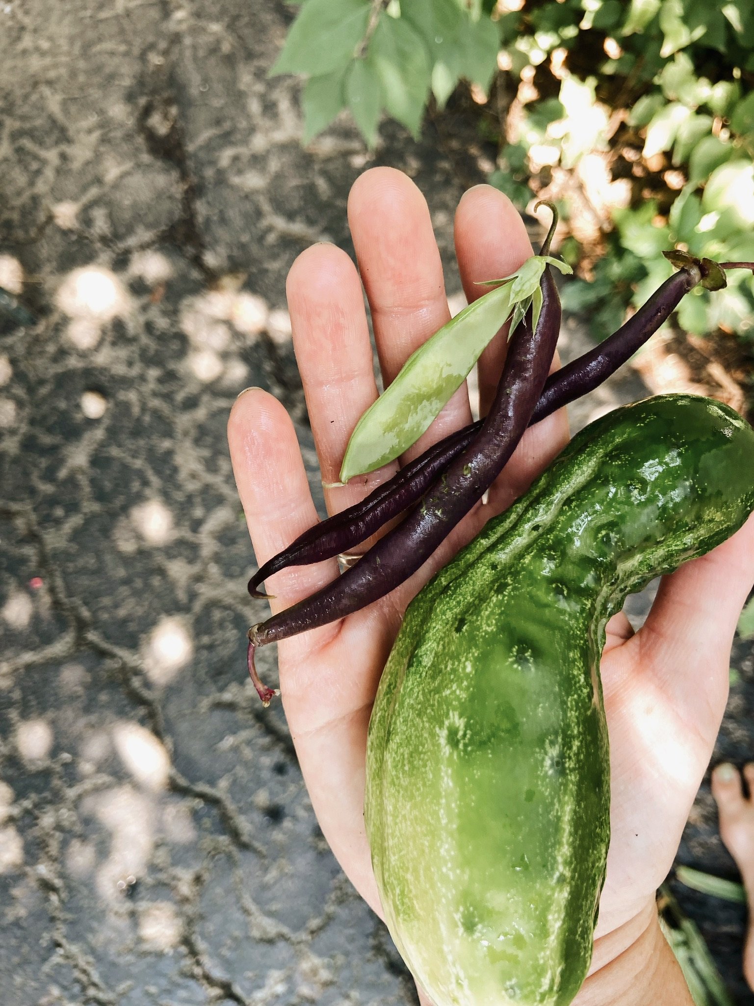 FAMILY VACATION (Via JacinthaPayne.com)61.JPG