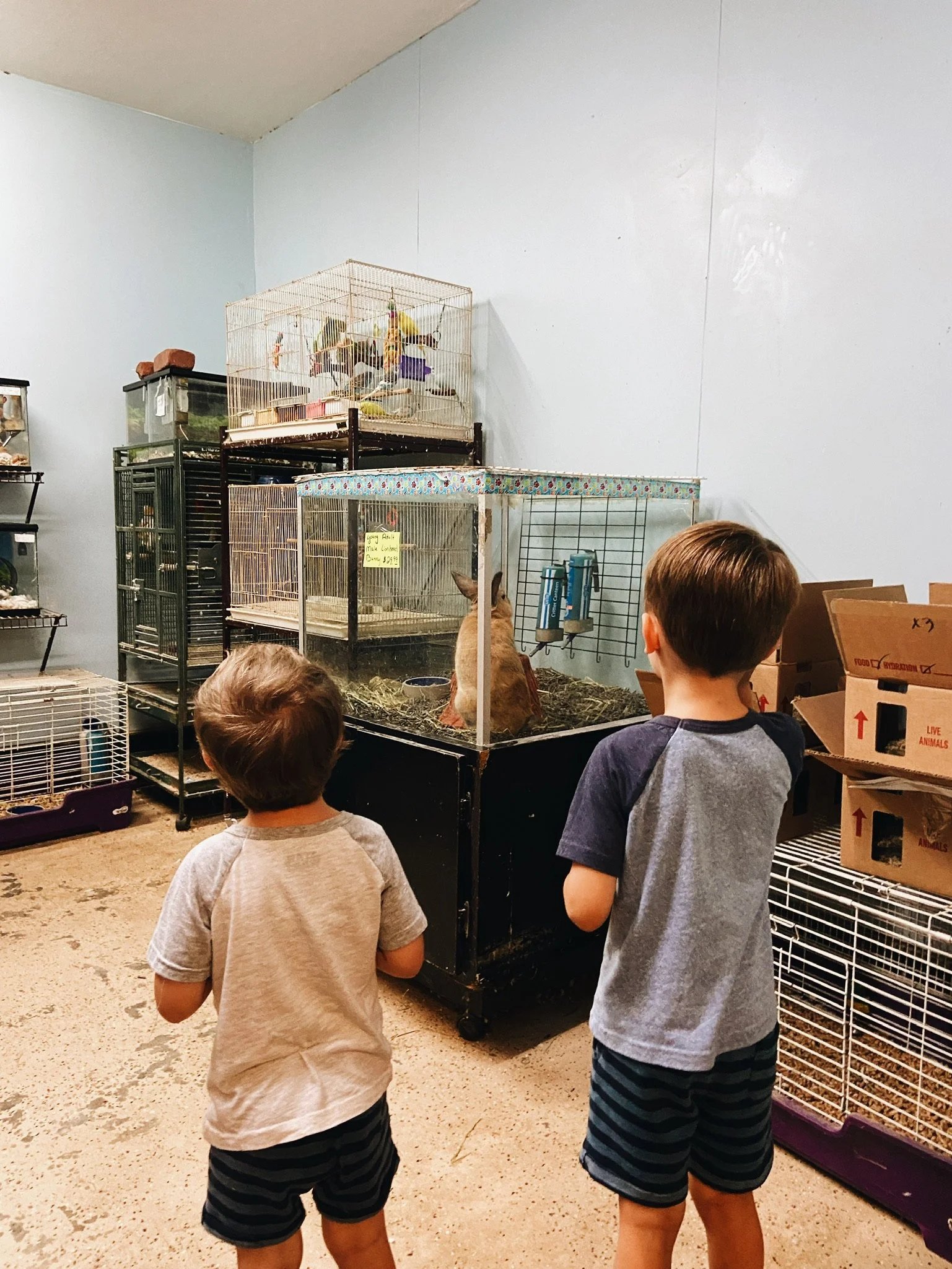 FAMILY VACATION (Via JacinthaPayne.com)111.JPG