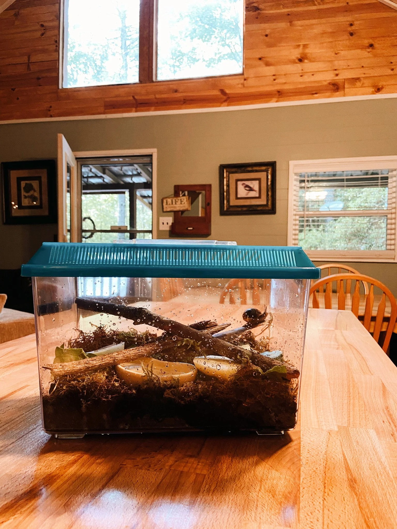 FAMILY VACATION (Via JacinthaPayne.com)117.JPG