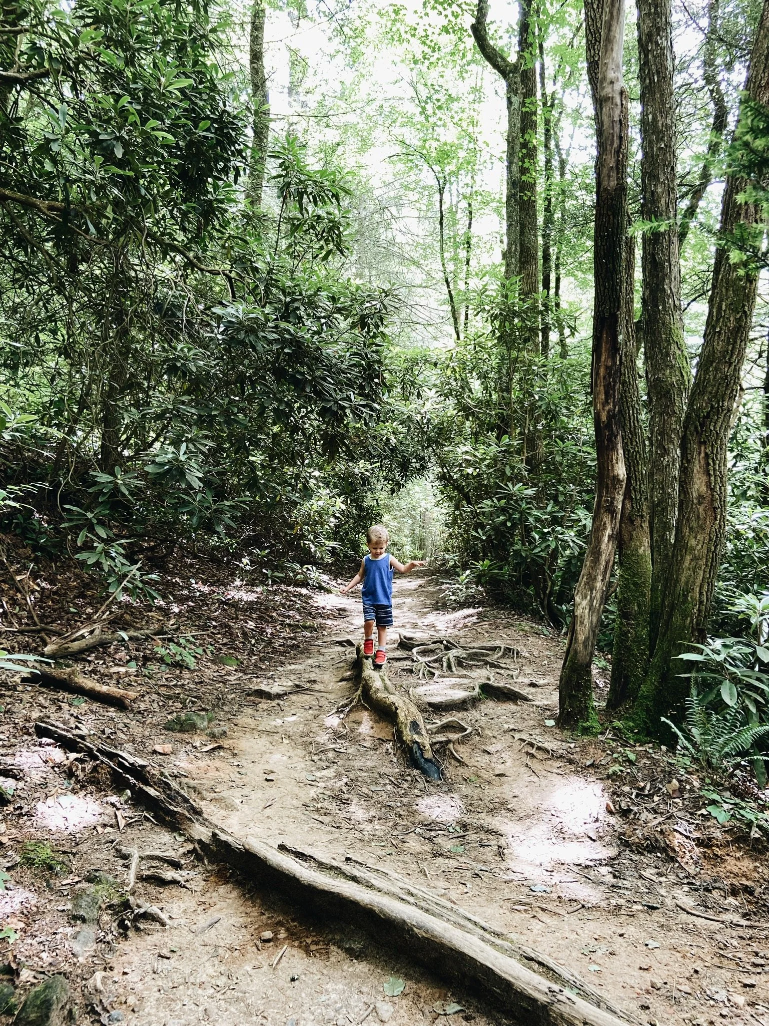 FAMILY VACATION (Via JacinthaPayne.com)123.JPG