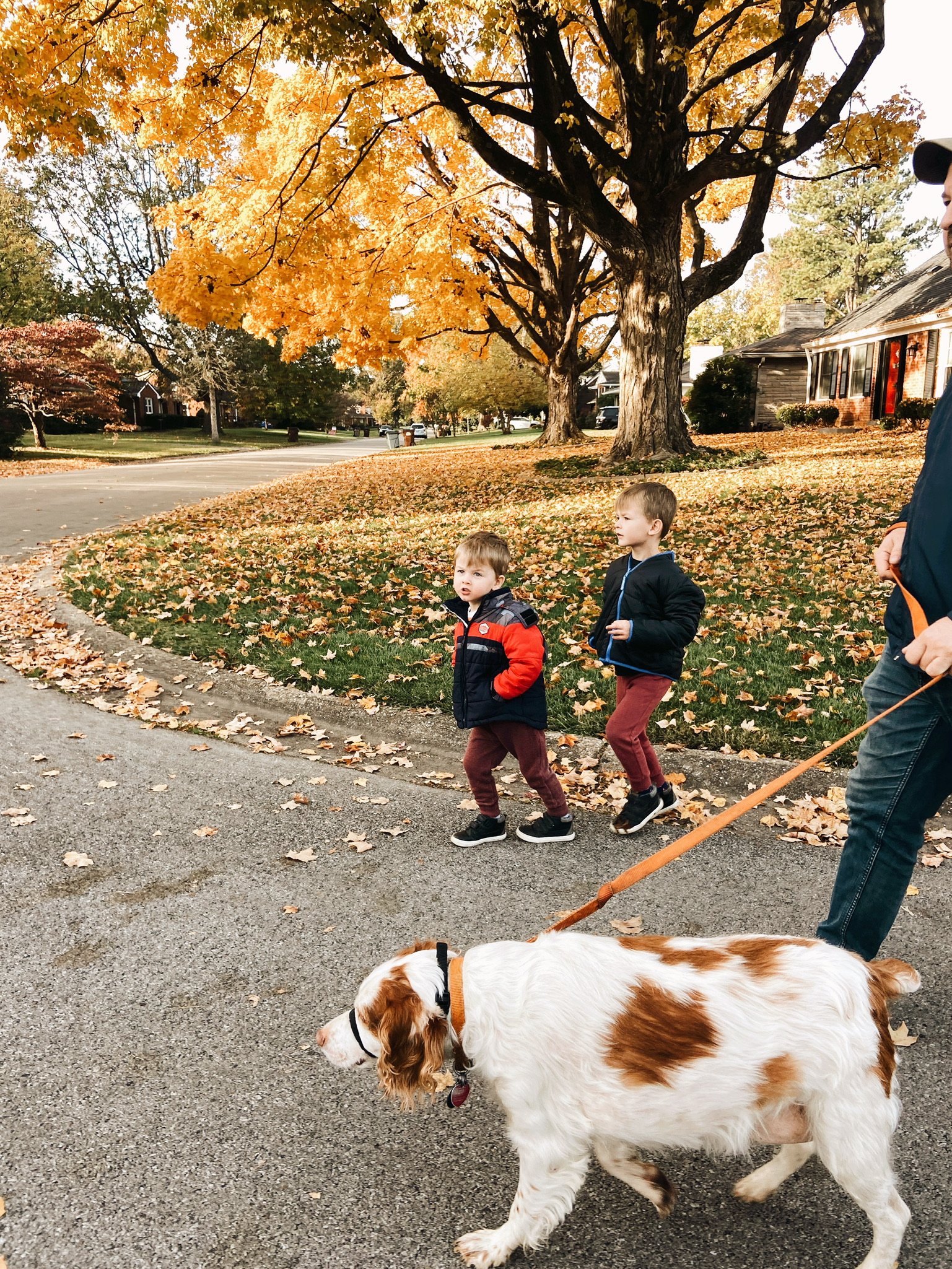 HALLOWEEN - 2021(Via JacinthaPayne.com)33.JPG