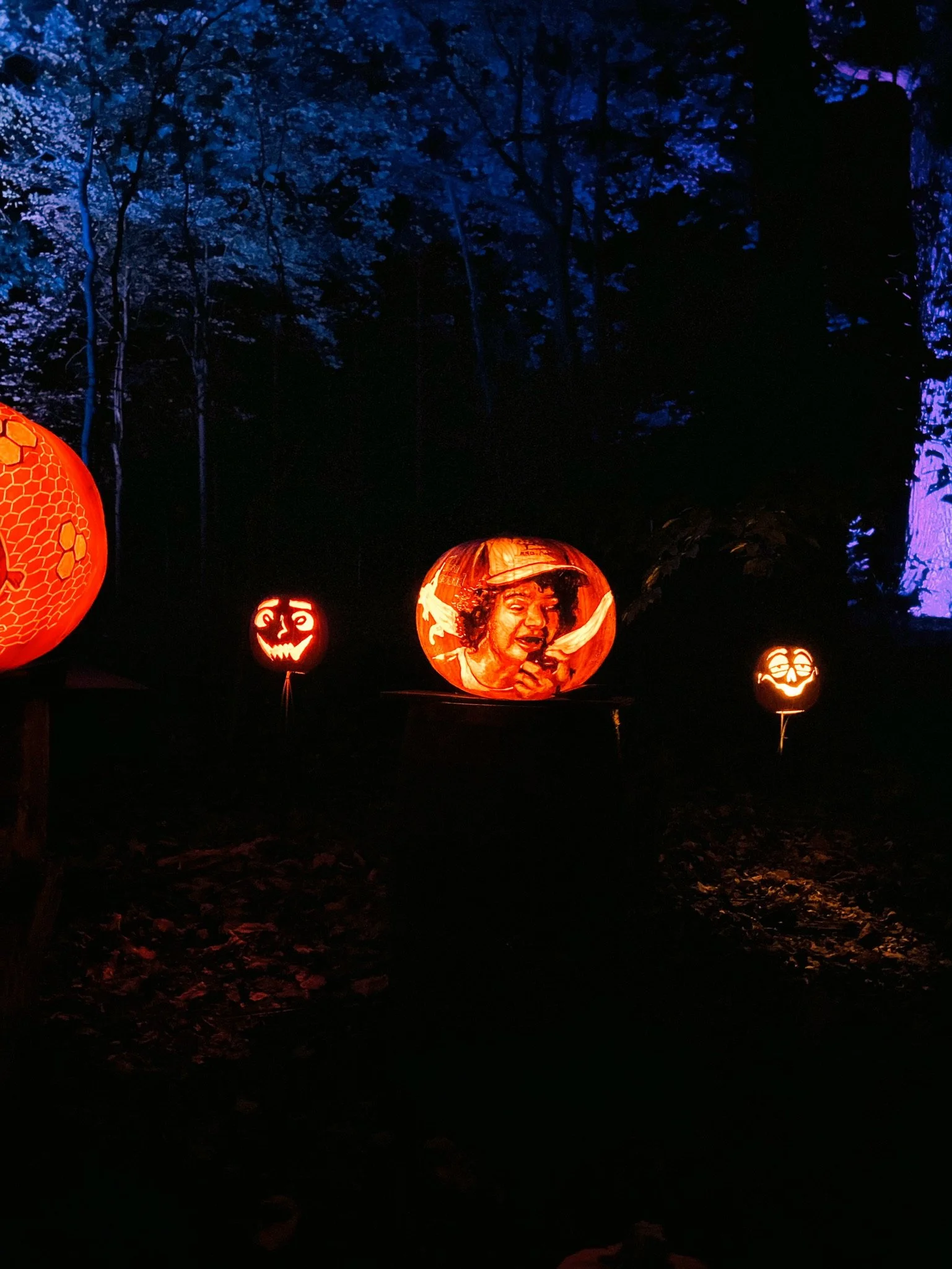 HALLOWEEN - 2021(Via JacinthaPayne.com)49.JPG