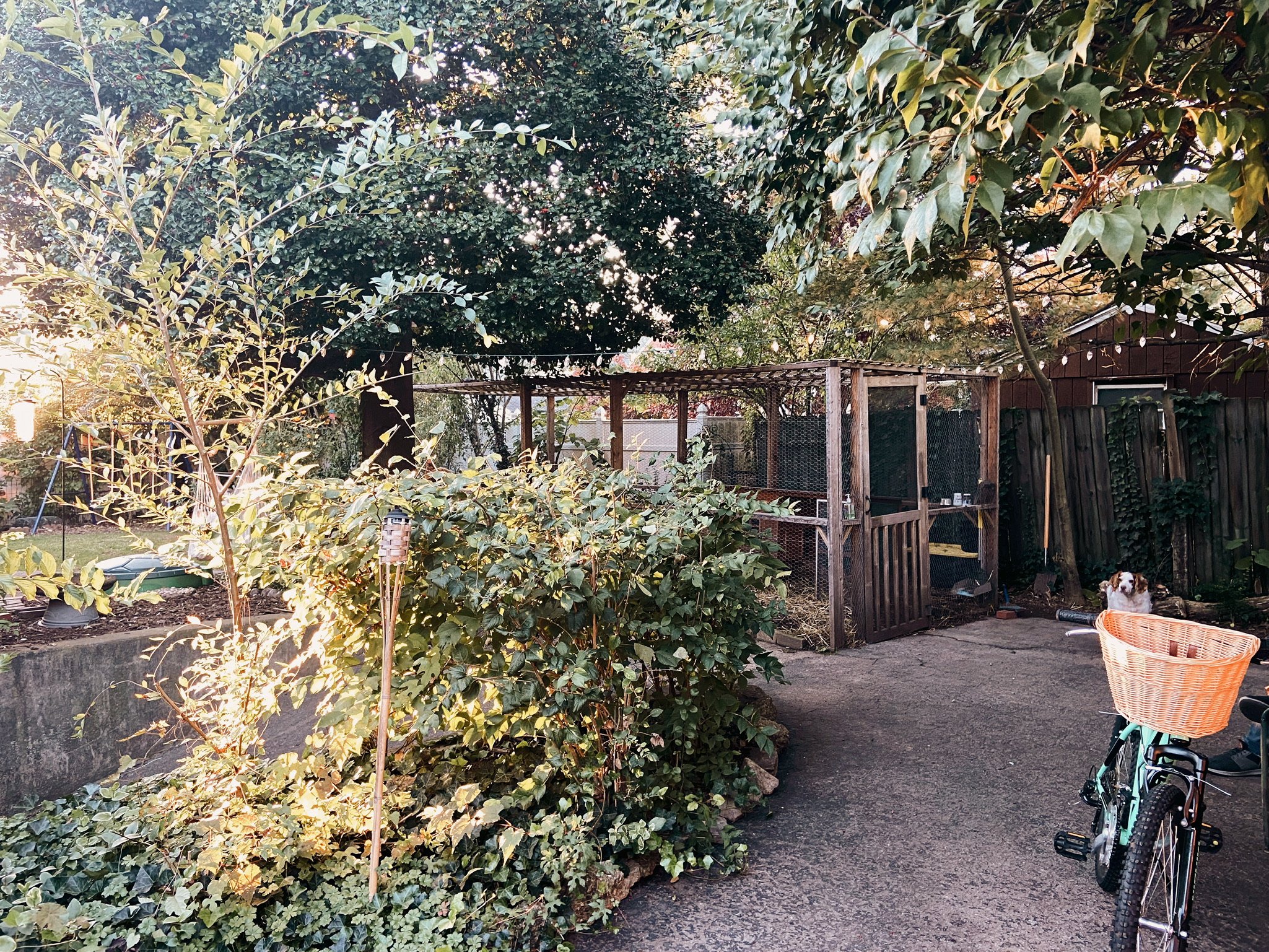 HALLOWEEN - 2021(Via JacinthaPayne.com)51.JPG