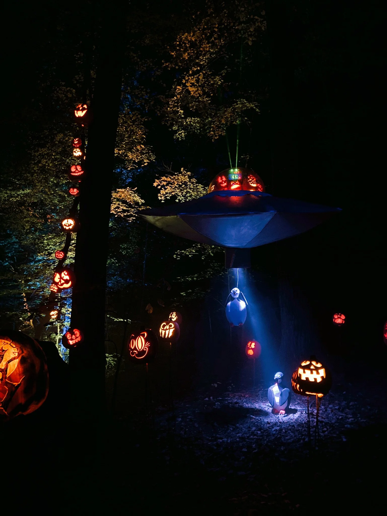 HALLOWEEN - 2021(Via JacinthaPayne.com)62.JPG