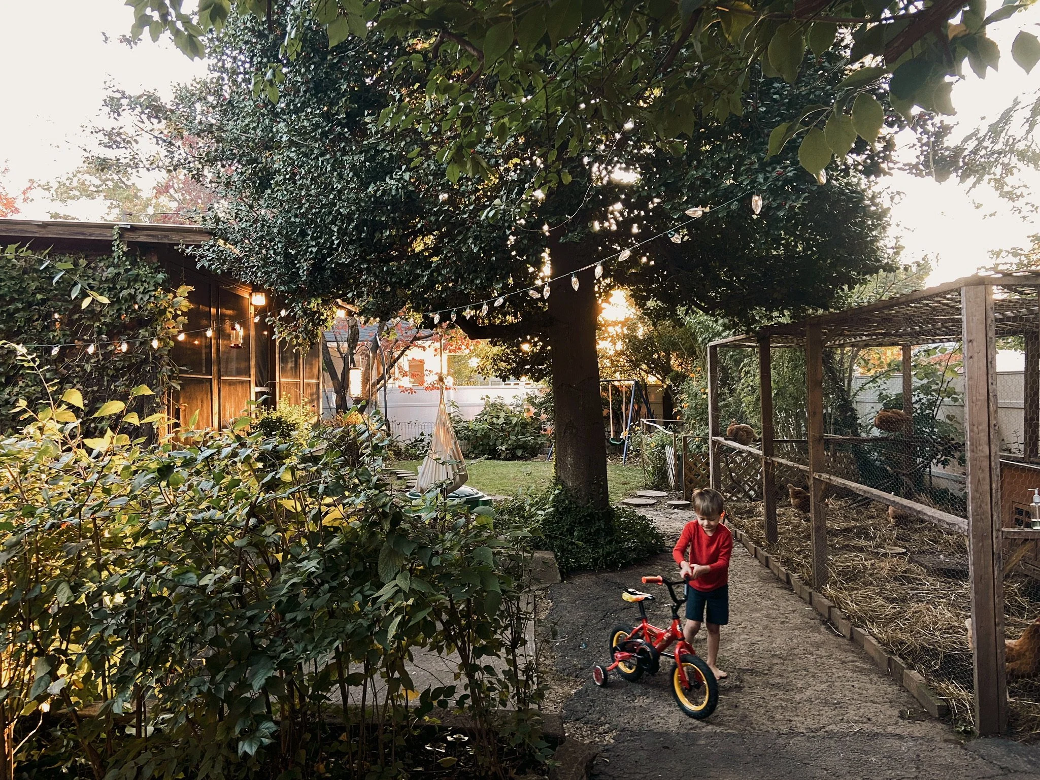 HALLOWEEN - 2021(Via JacinthaPayne.com)92.JPG