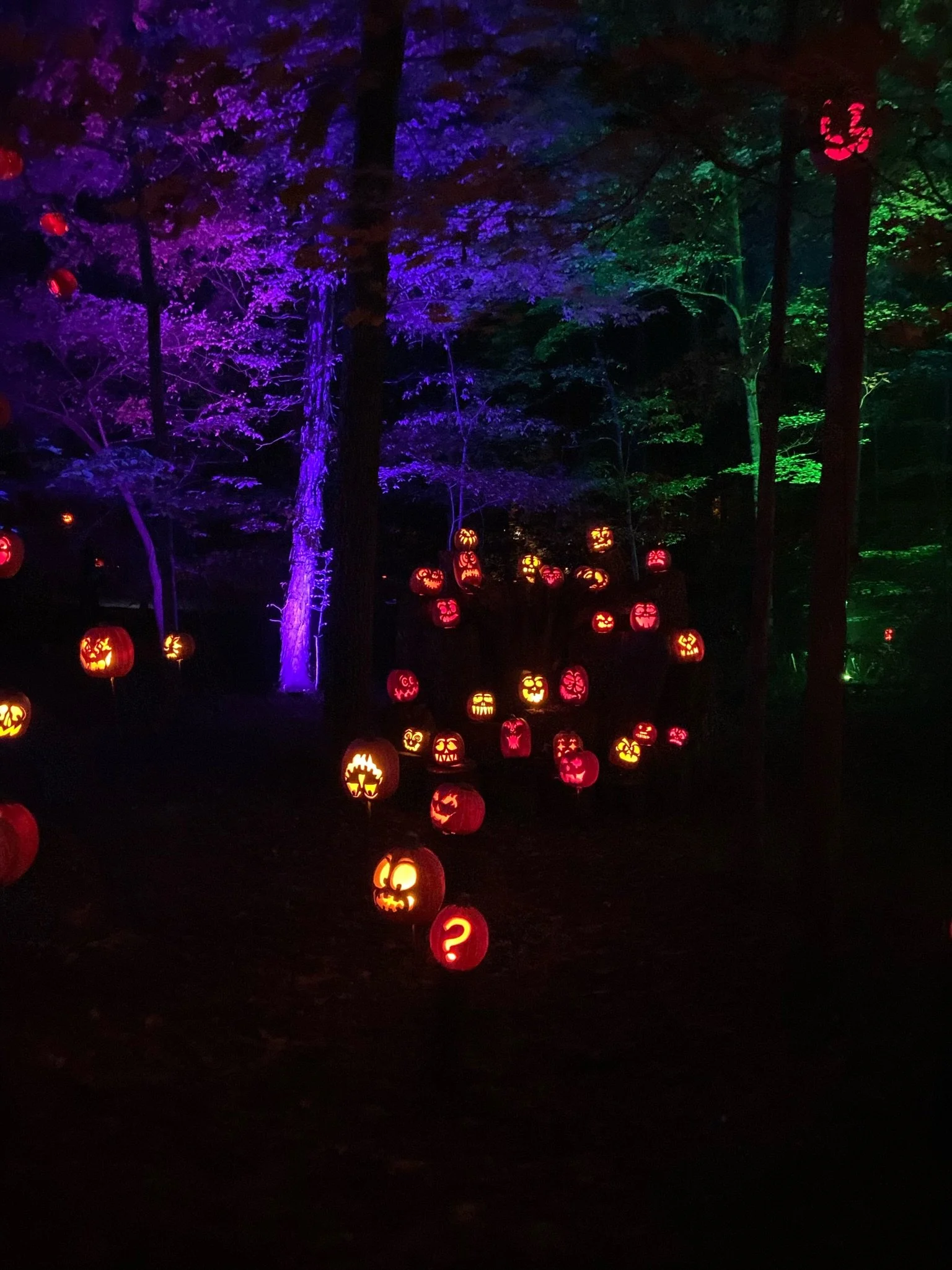 HALLOWEEN - 2021(Via JacinthaPayne.com)117.JPG