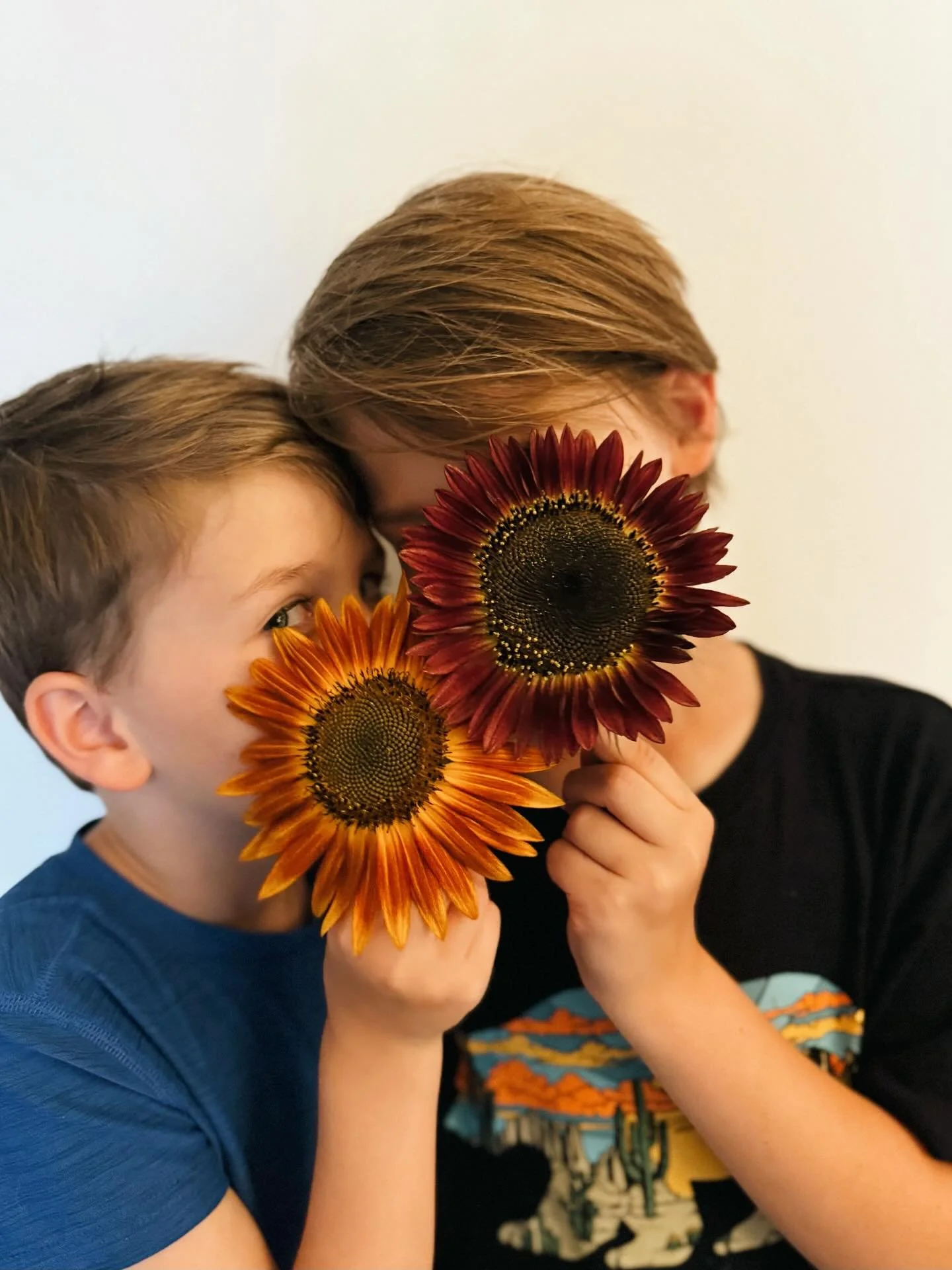 My sunflowers. 🌻