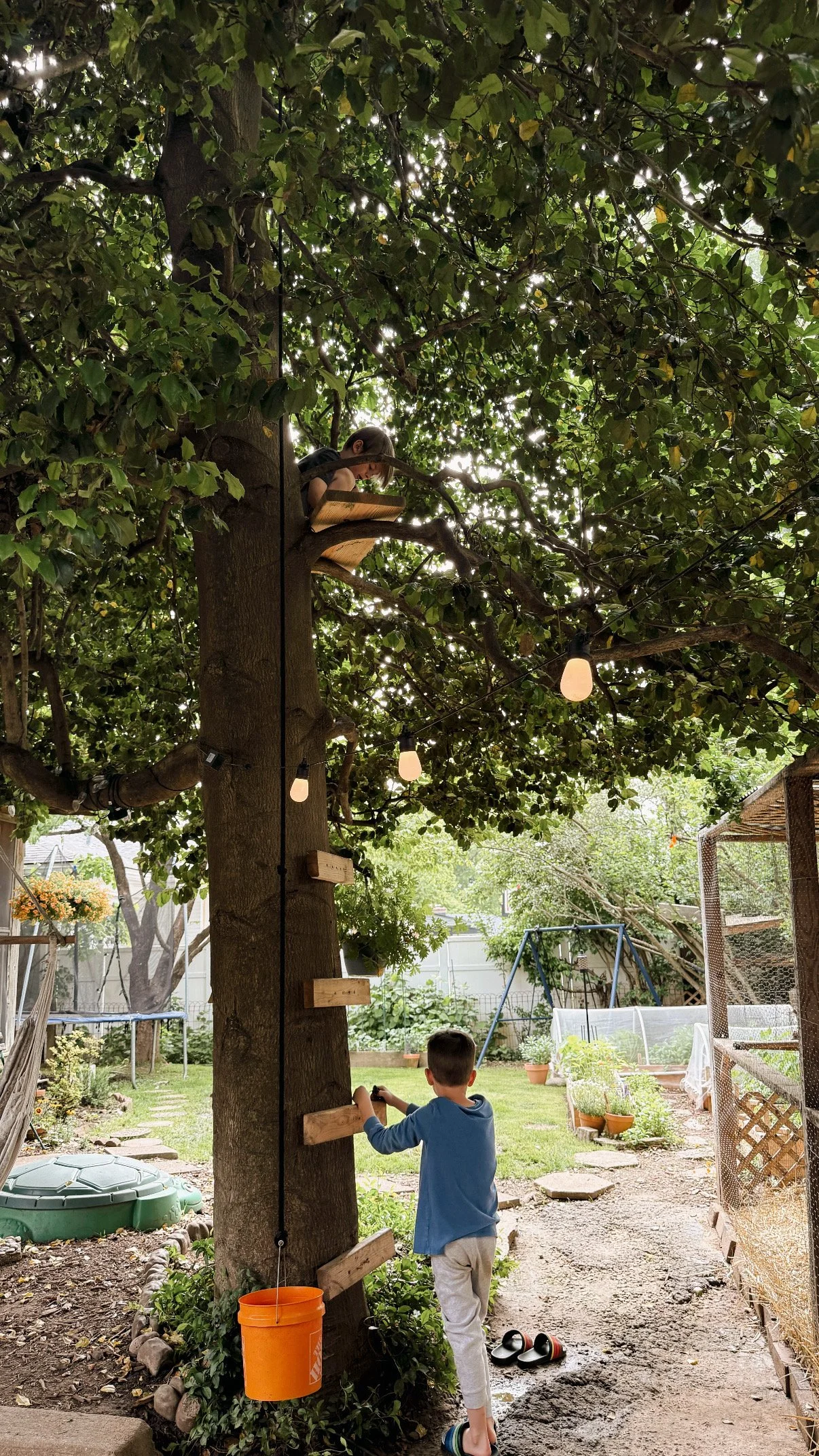 ESTABLISHING OUR  FAMILY SUMMER RYTHYM 