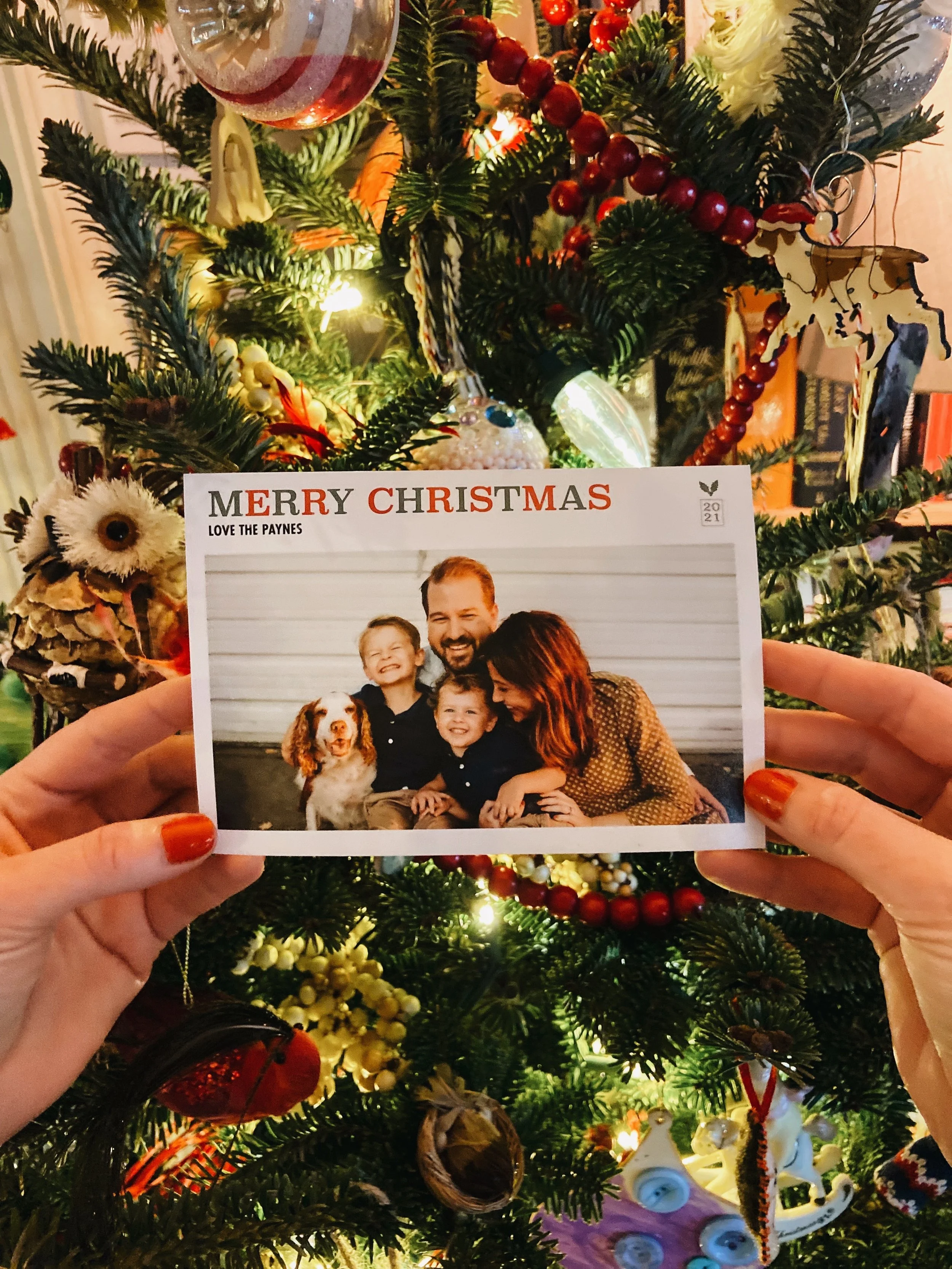 MERRY CHRISTMAS - 2021