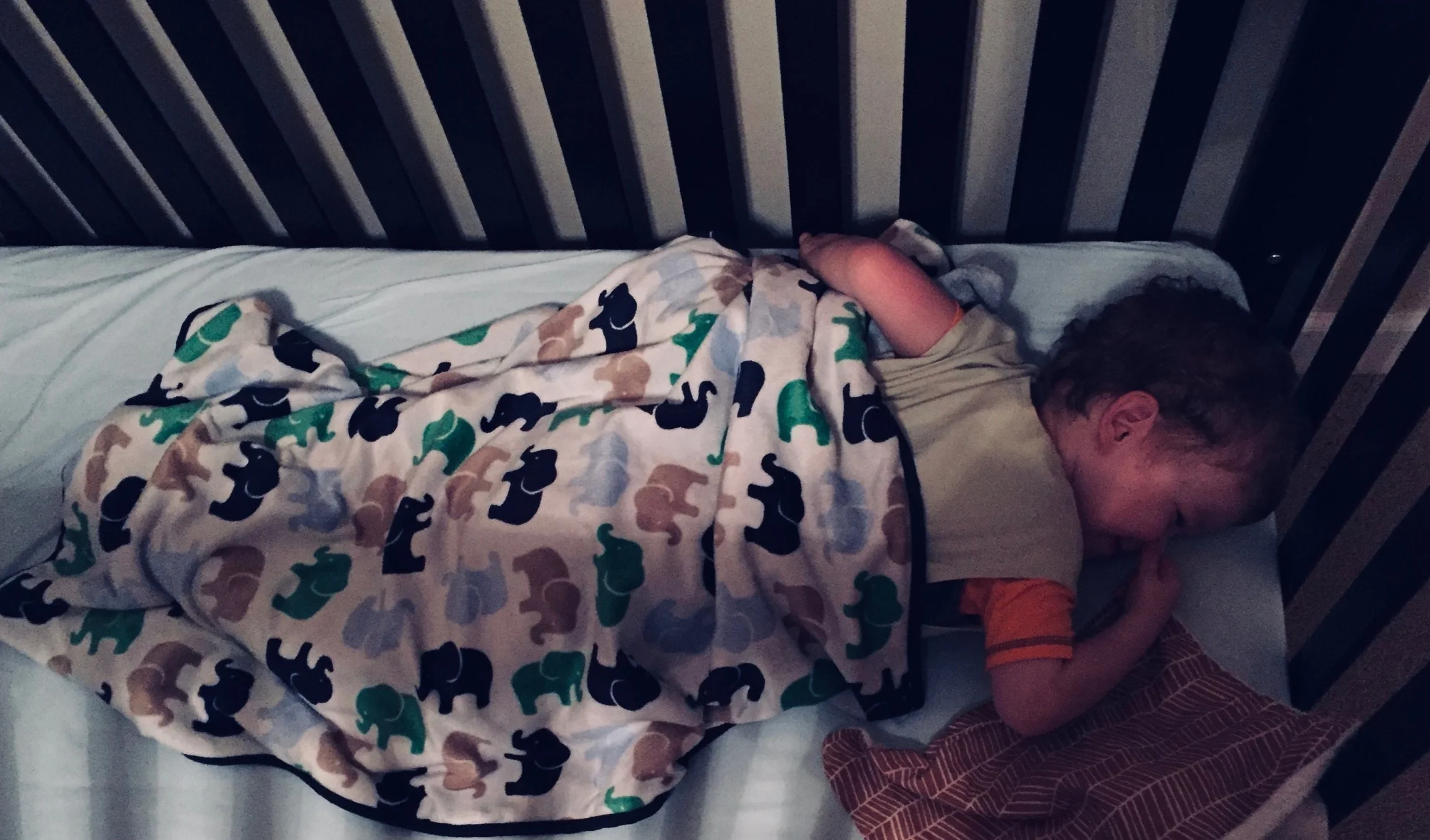 sleepingtoddler.jpg