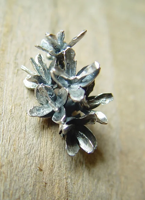 cedar_pod_wax_botanical_casting_sterling_silver_pendant.jpg