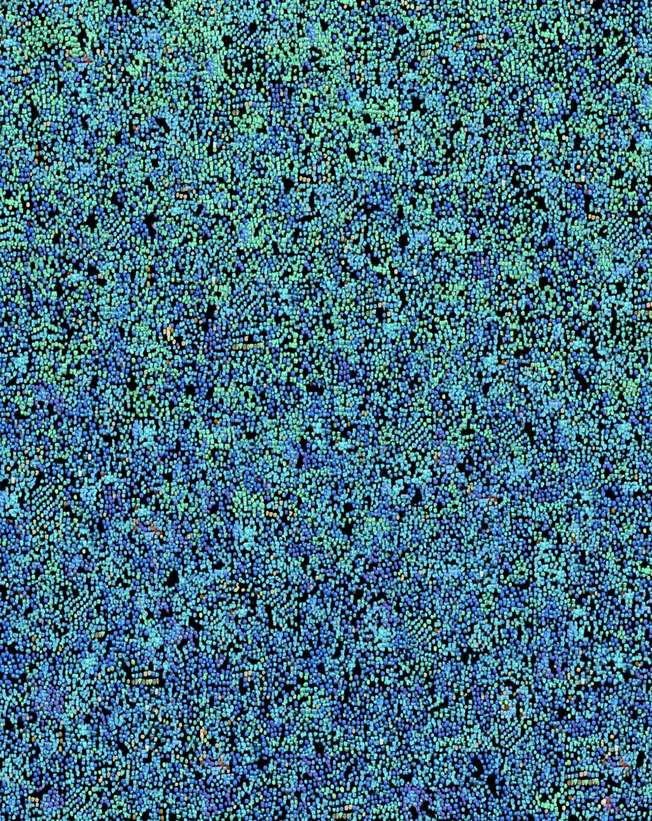 Untitled #5 from the series New Forms , digital collage, 2014-15 archival pigment print on fiber-based paper mounted on dibond, 45 x 35 inches (detail)