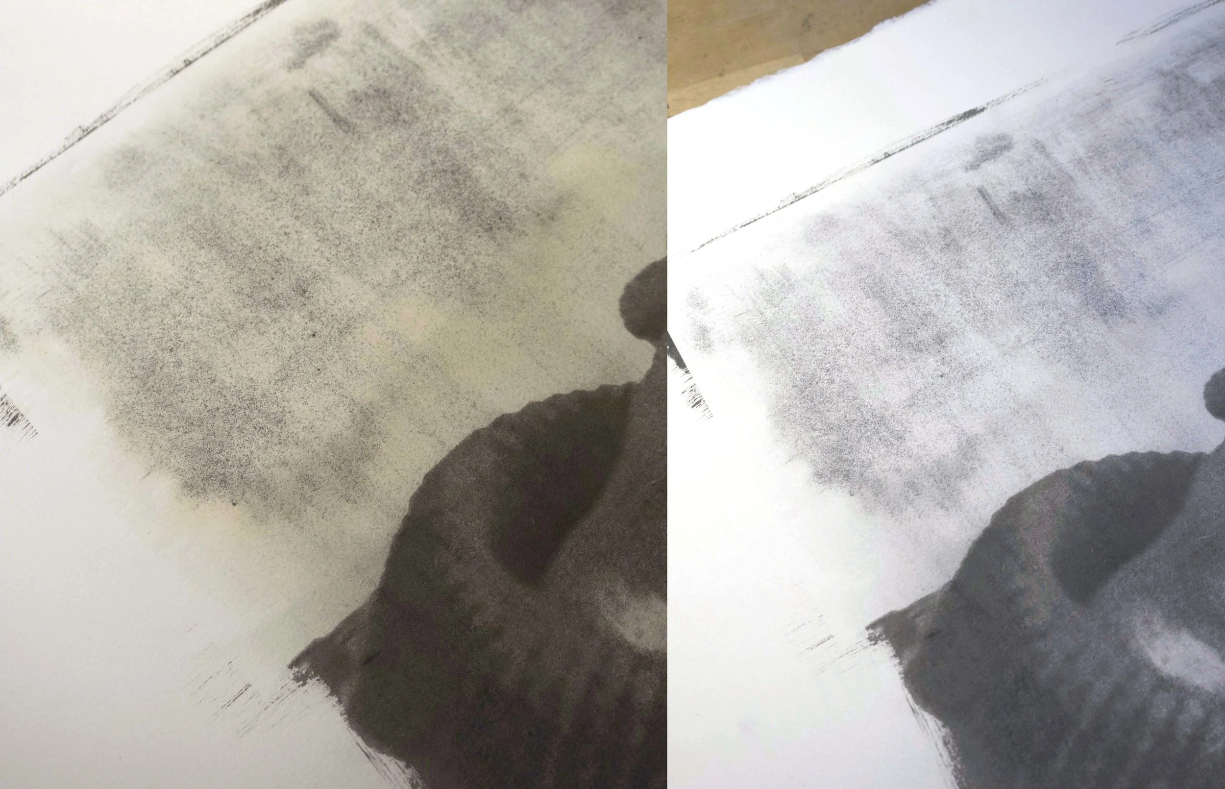 Before and After Clearing.jpg