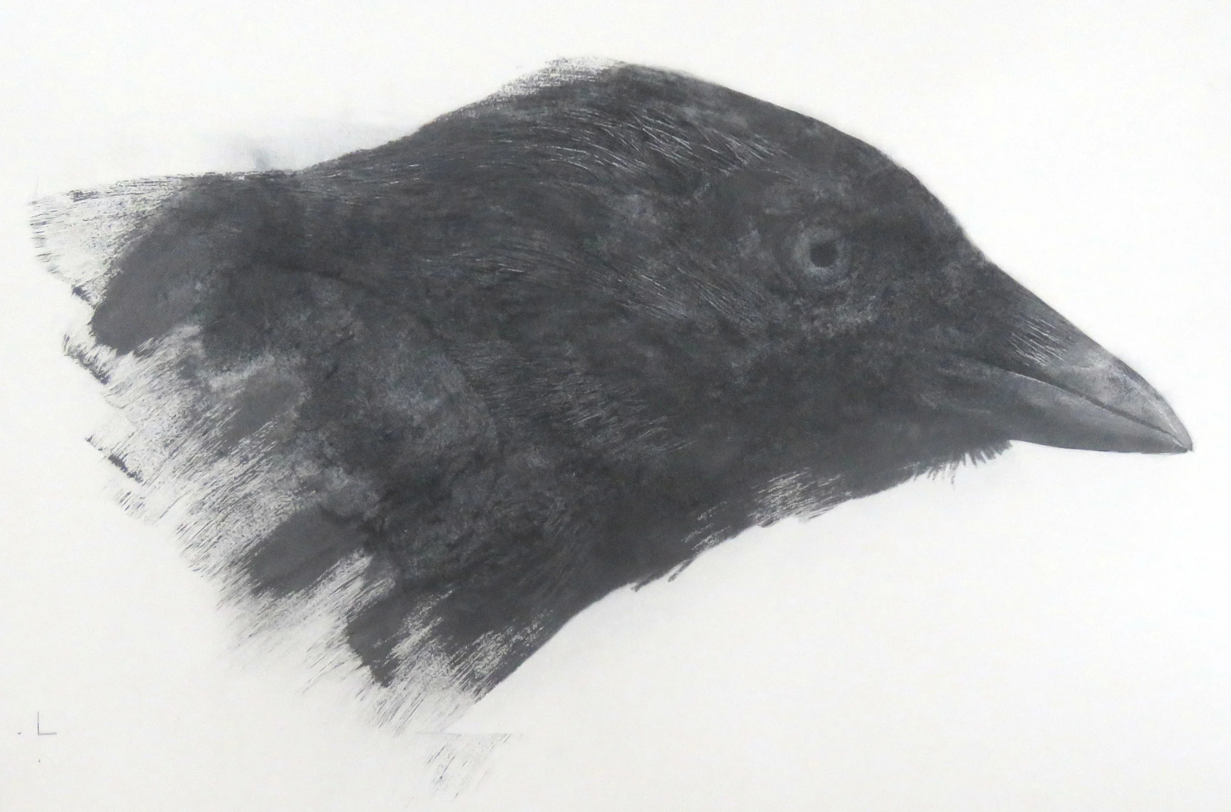 Head of the Magic Magpie 3 (Edged)