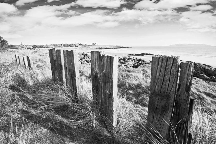 Donabate Beach (bw)
