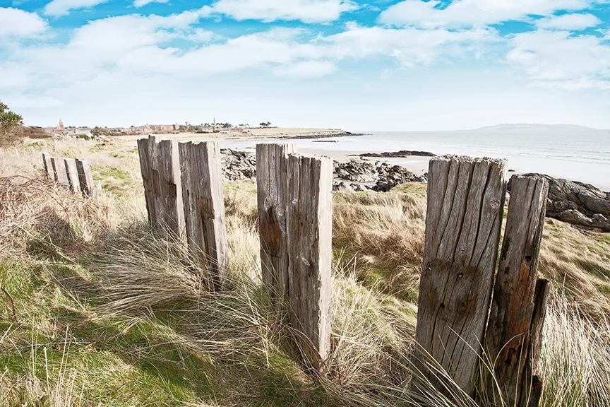 Donabate Beach (col)