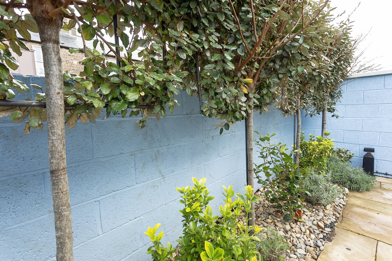 Garden Detail2.jpg