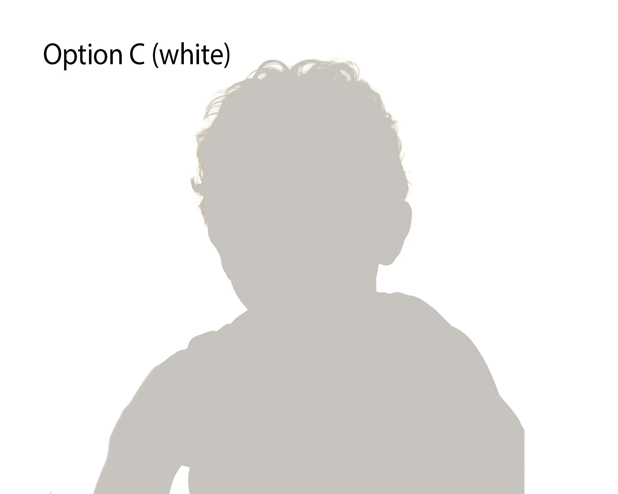 Option C (white background).jpg