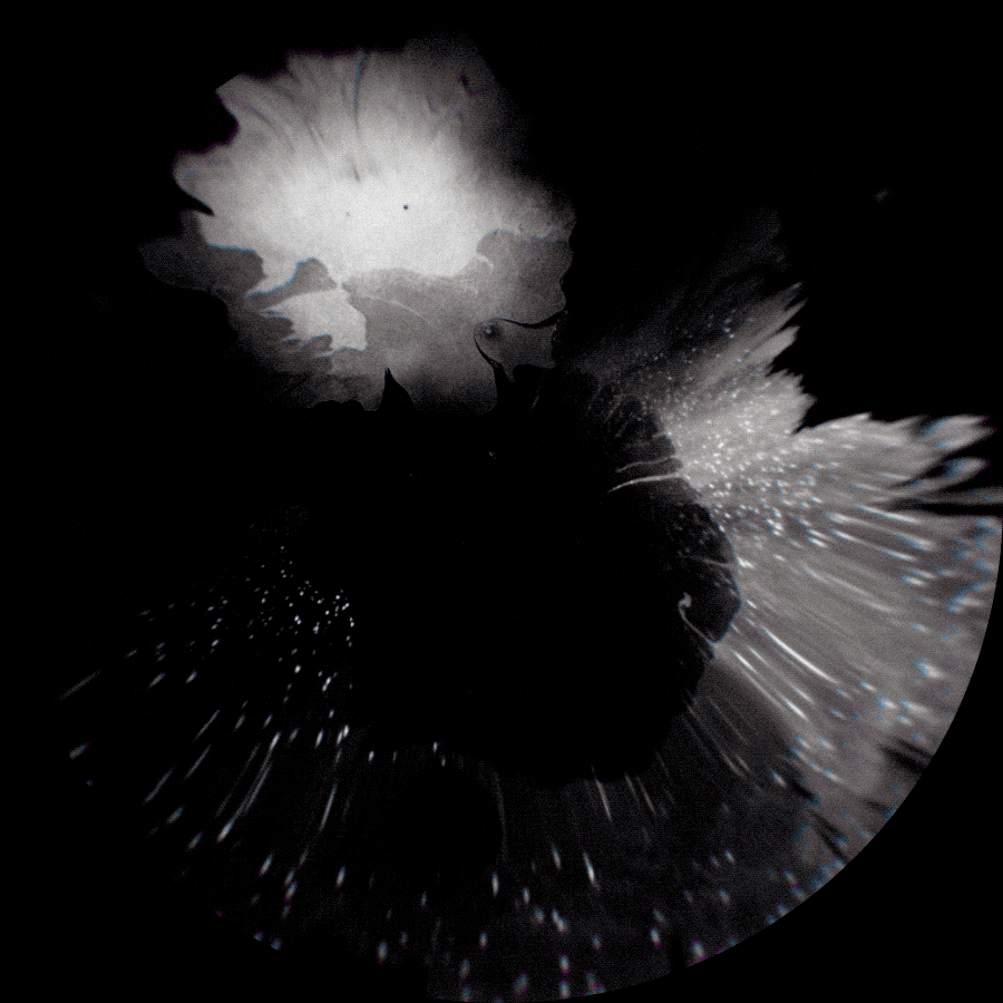 SM_show_007.gif