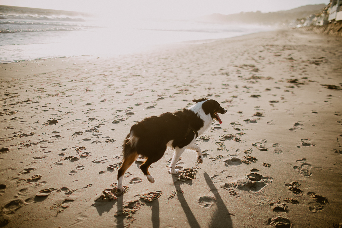 malibu-carbon-beach-engagement-session-kelley-raye-los-angeles-lifestyle-photographer-30.jpg