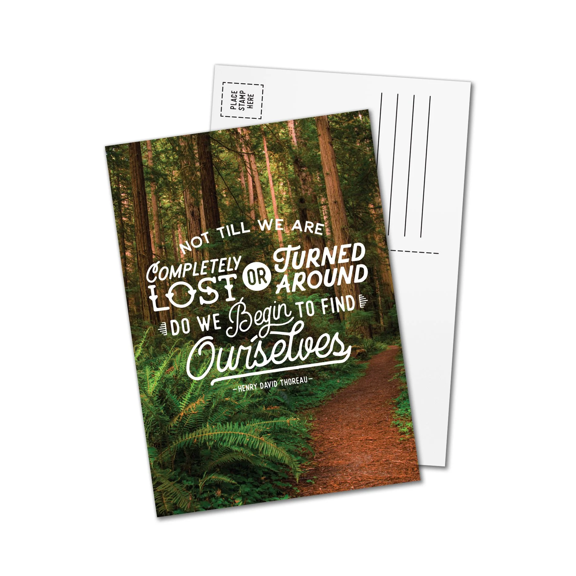 Lost Forest Postcard