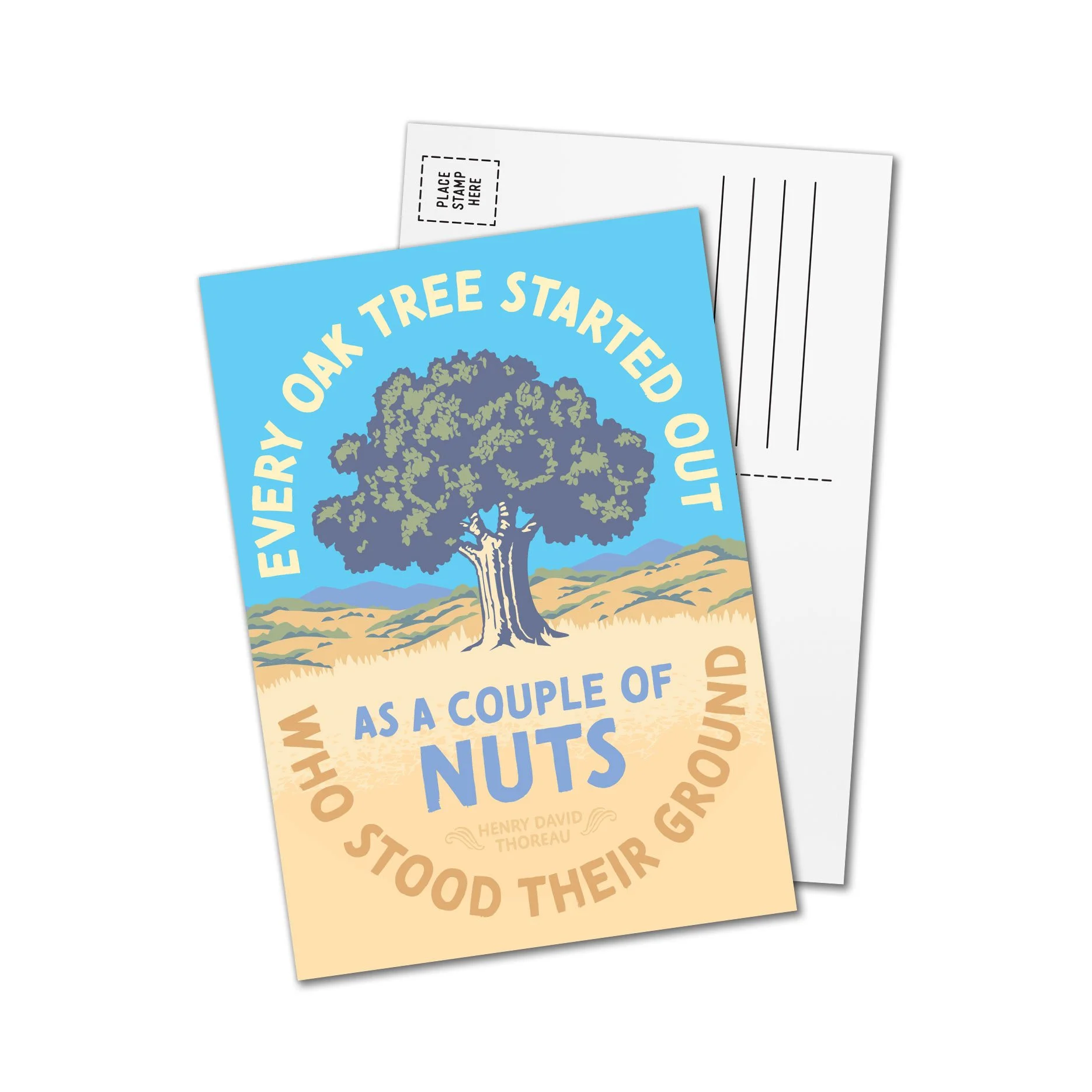 Oak Tree Postcard