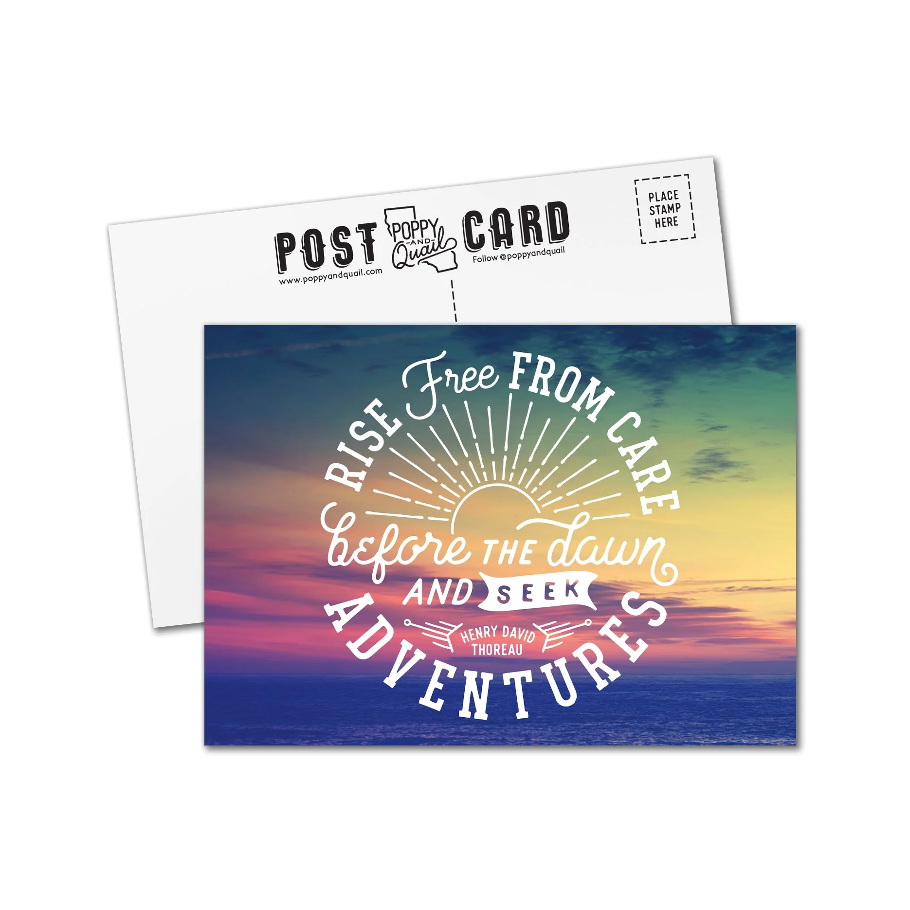 Rise Free Postcard