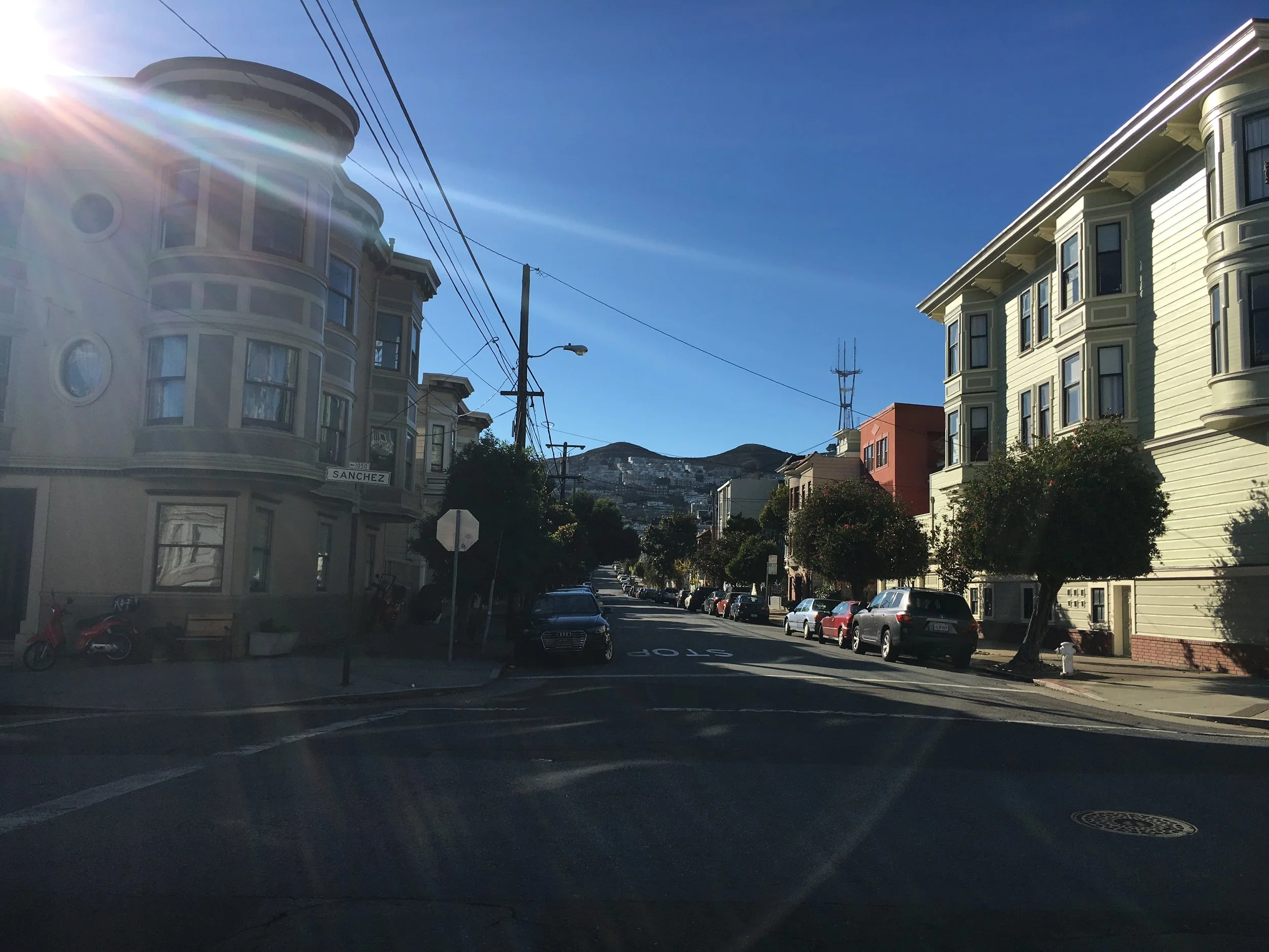 Sanchez sunlight.JPG